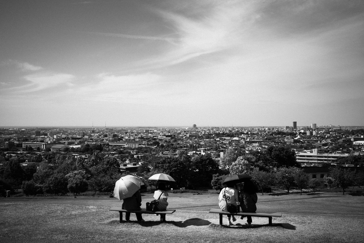 兩個人在高處欣賞城市景觀,手持雨傘