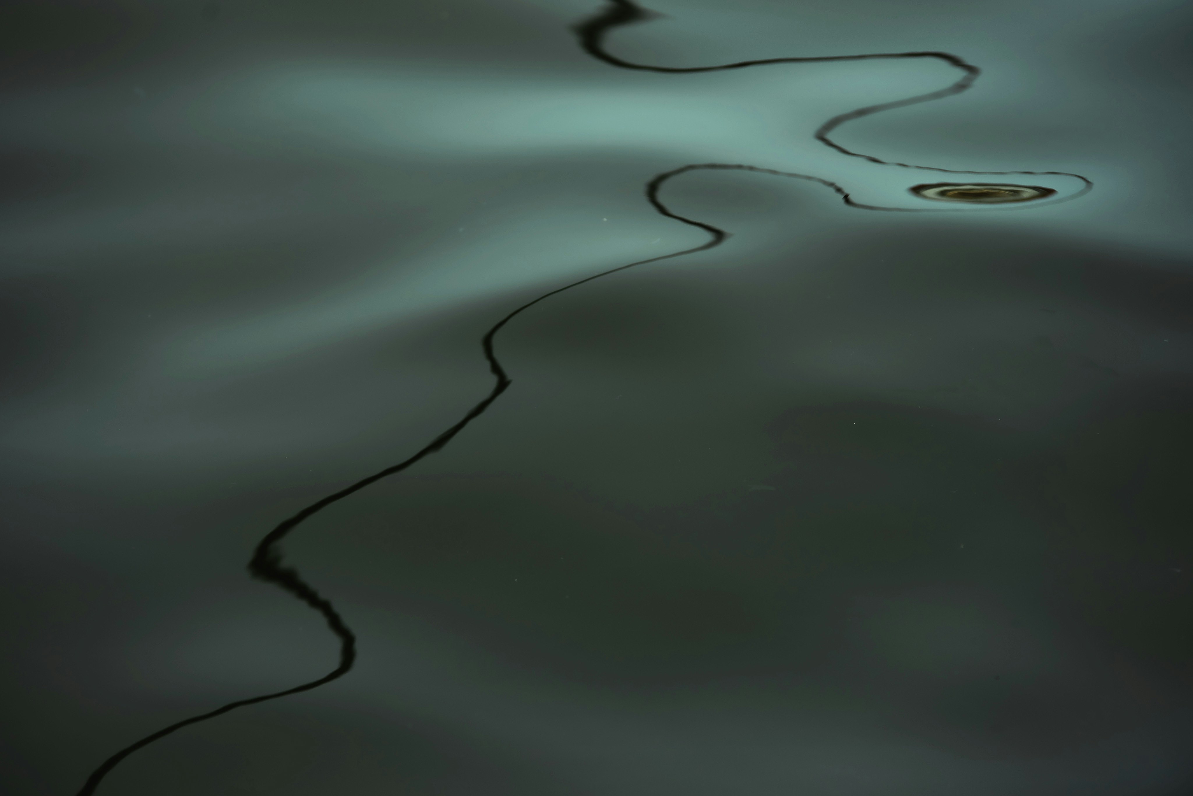 Art naturel : reflets de rides et motifs à la surface de l’eau