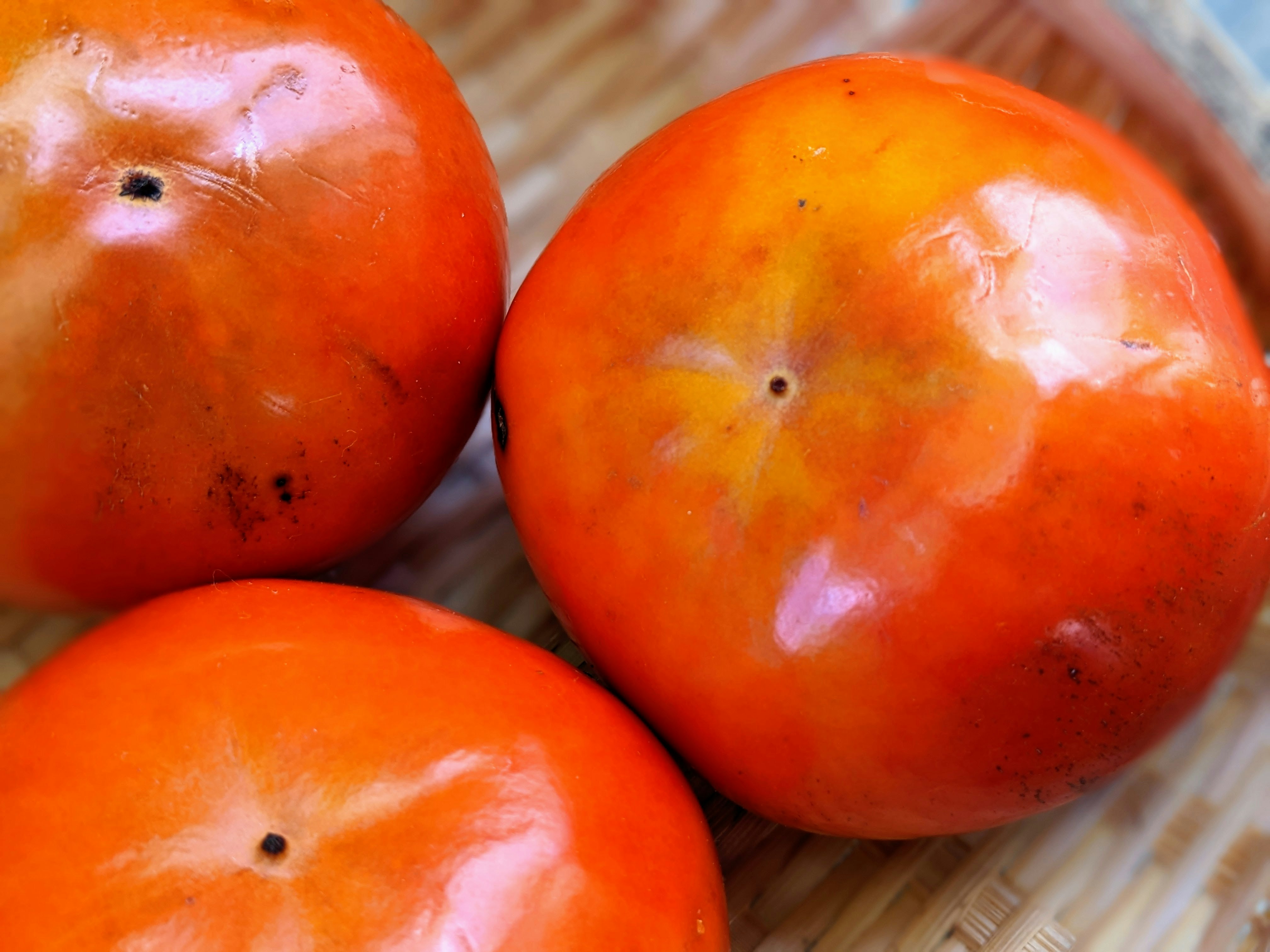 自家栽培の柿が並ぶ秋の果物のアップ