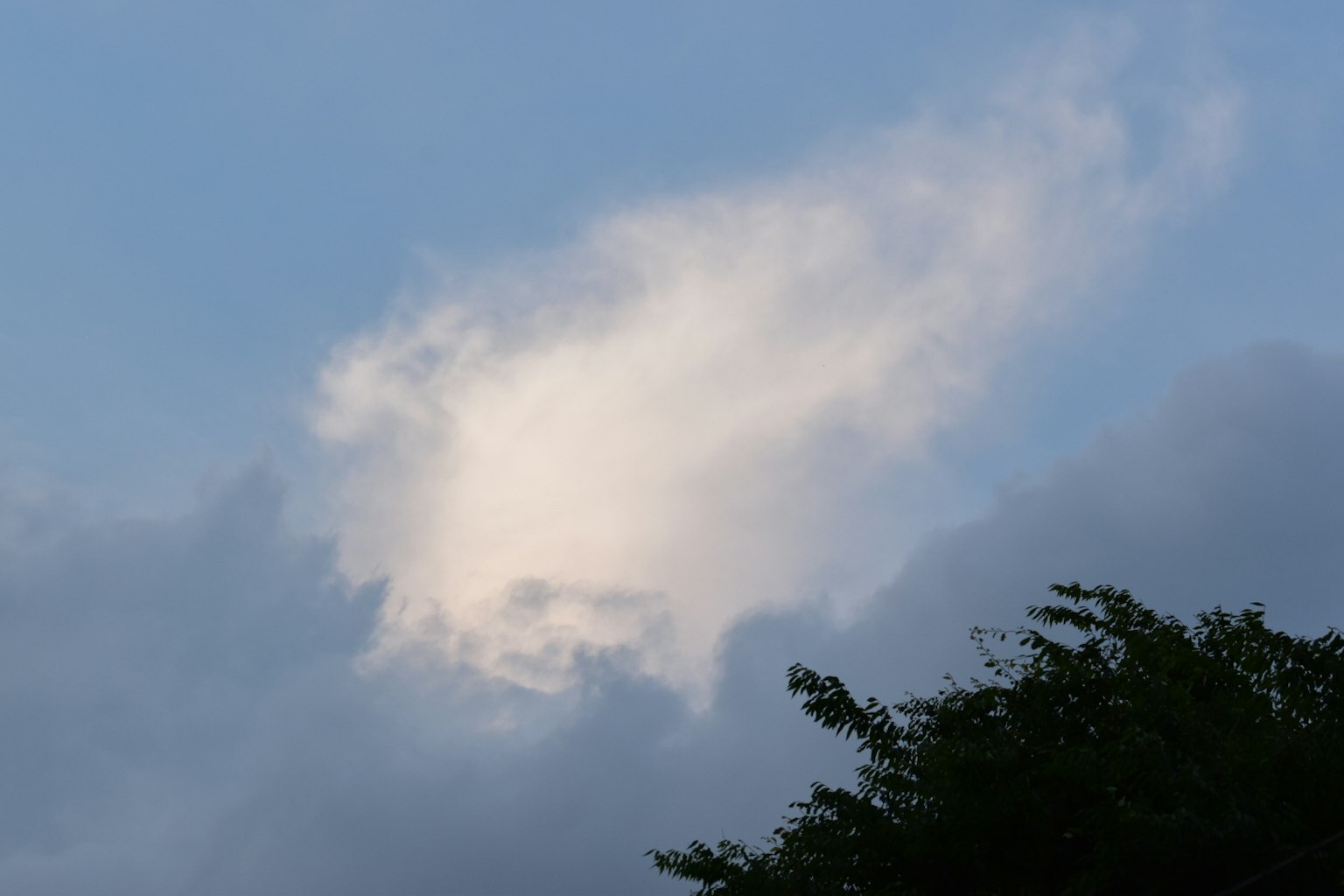 Nube blanca en el cielo azul con árboles verdes