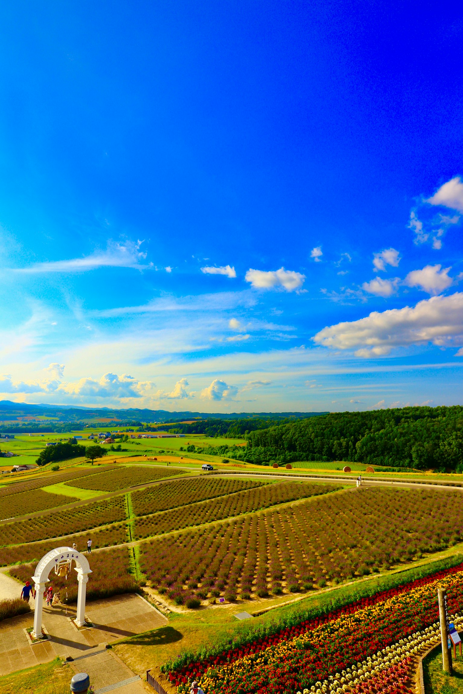 Weite landwirtschaftliche Flächen unter einem strahlend blauen Himmel mit verstreuten Wolken
