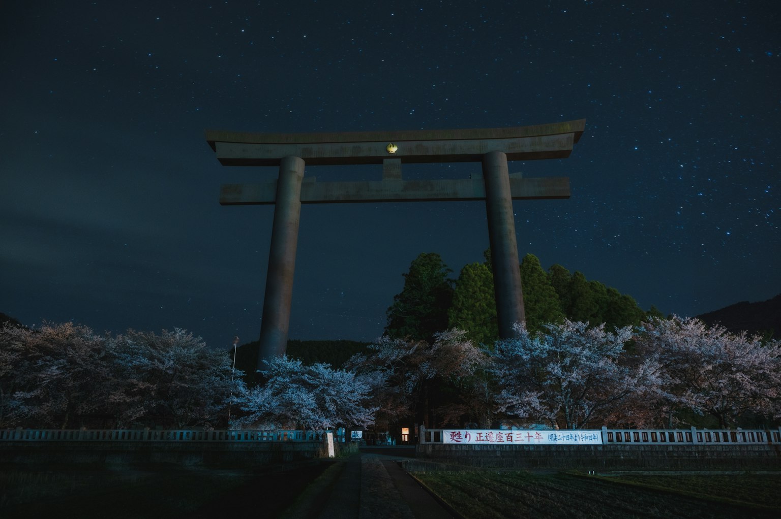 Large torii gate under a night sky with cherry blossom trees