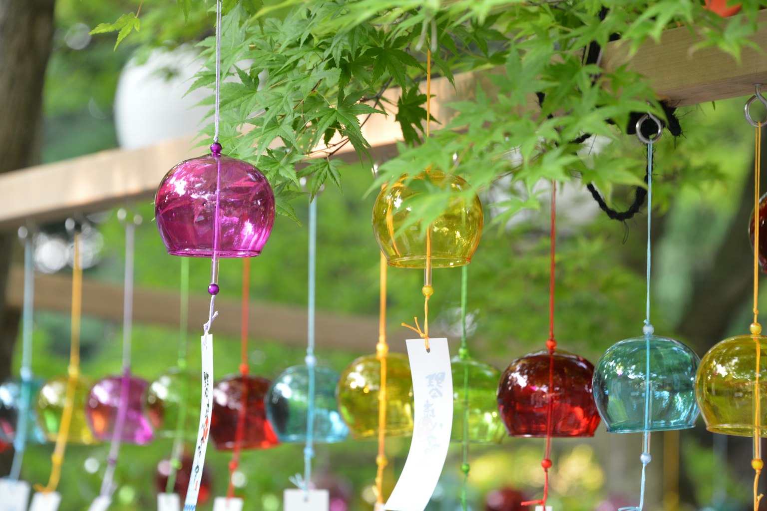 ระฆังลมหลากสีแขวนอยู่ท่ามกลางใบไม้สีเขียวแสดงการออกแบบที่สวยงาม