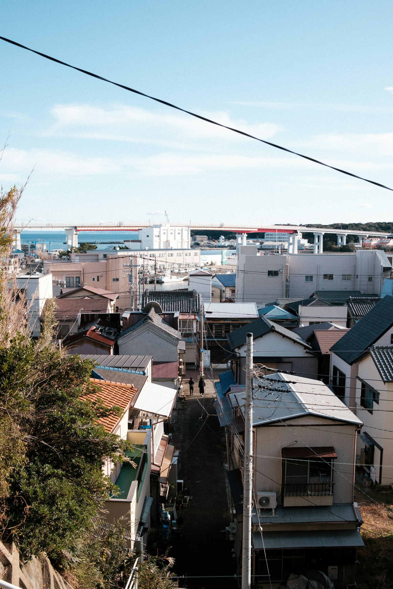 面向港口的住宅区景观，蓝天和大海，各种屋顶的房屋