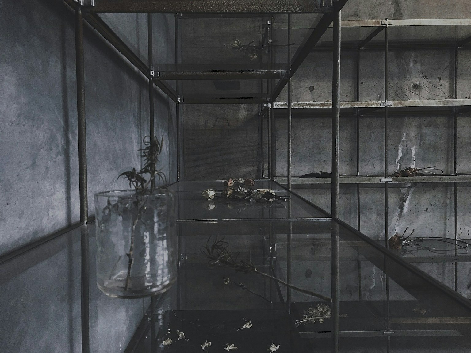 Anzeige kleiner Objekte und Pflanzen auf Glasholzregalen vor dunklem Hintergrund