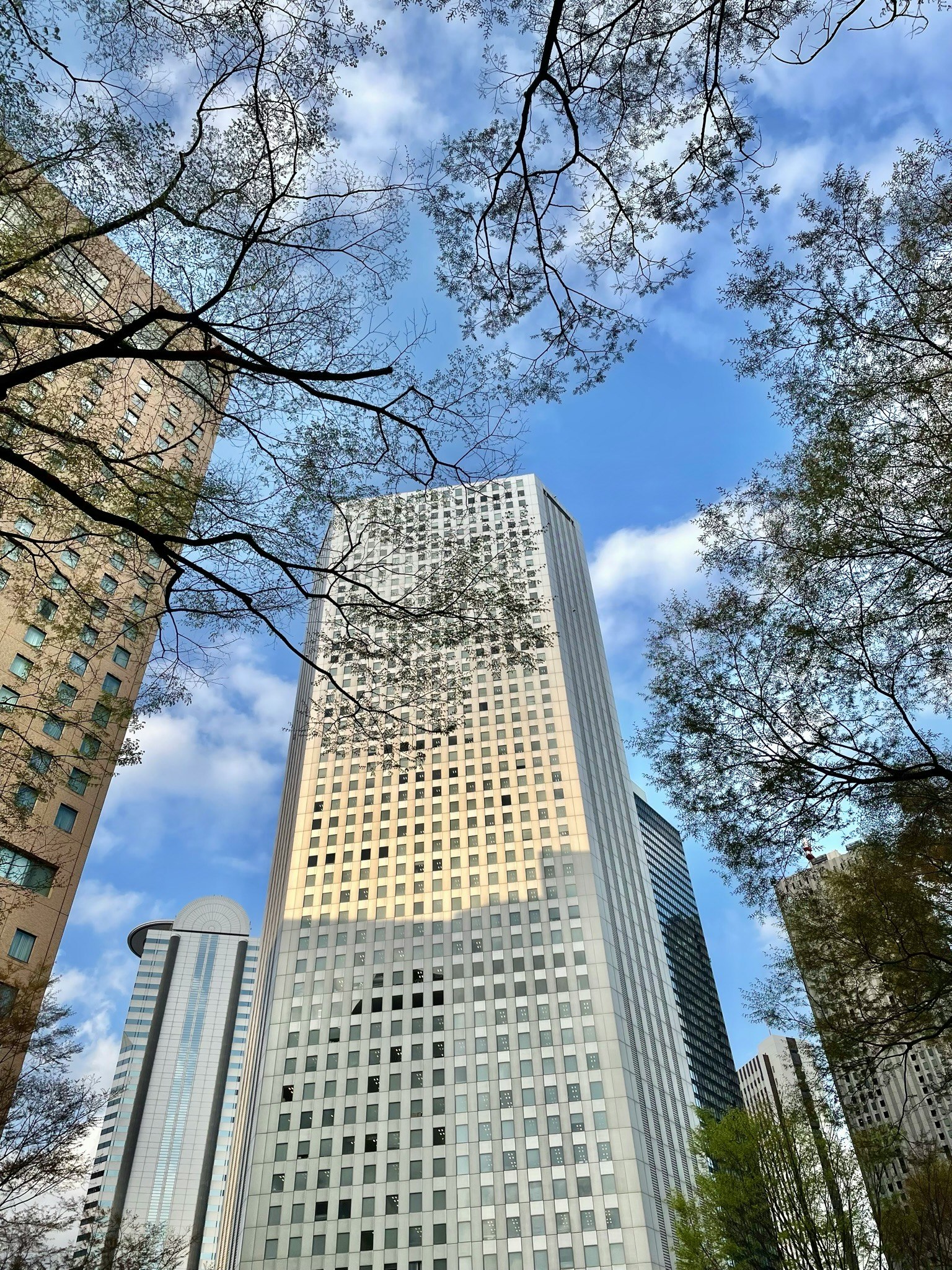 Gedung pencakar langit di bawah langit biru dengan cabang pohon