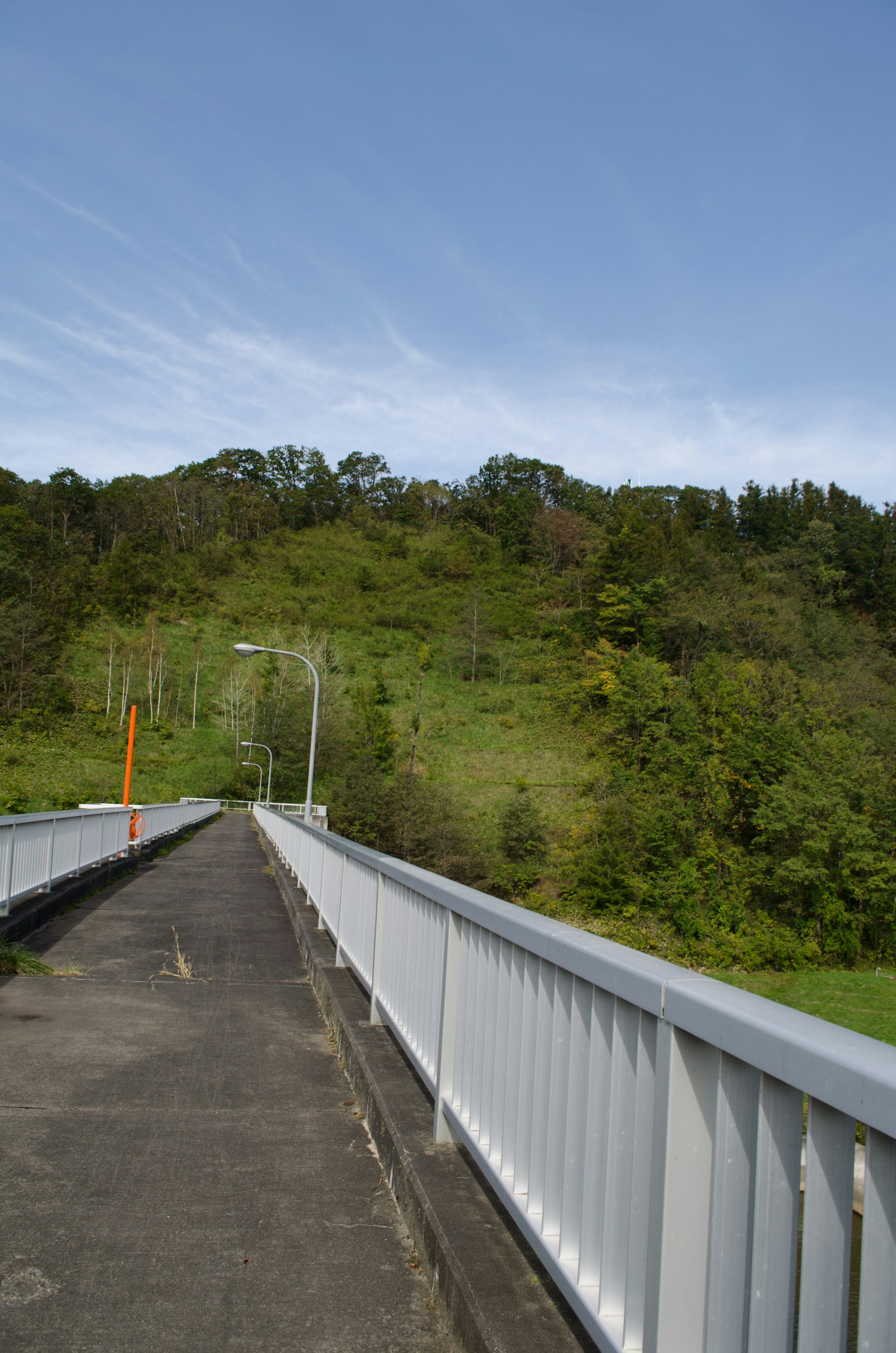 View of a bridge with a green hill and blue sky