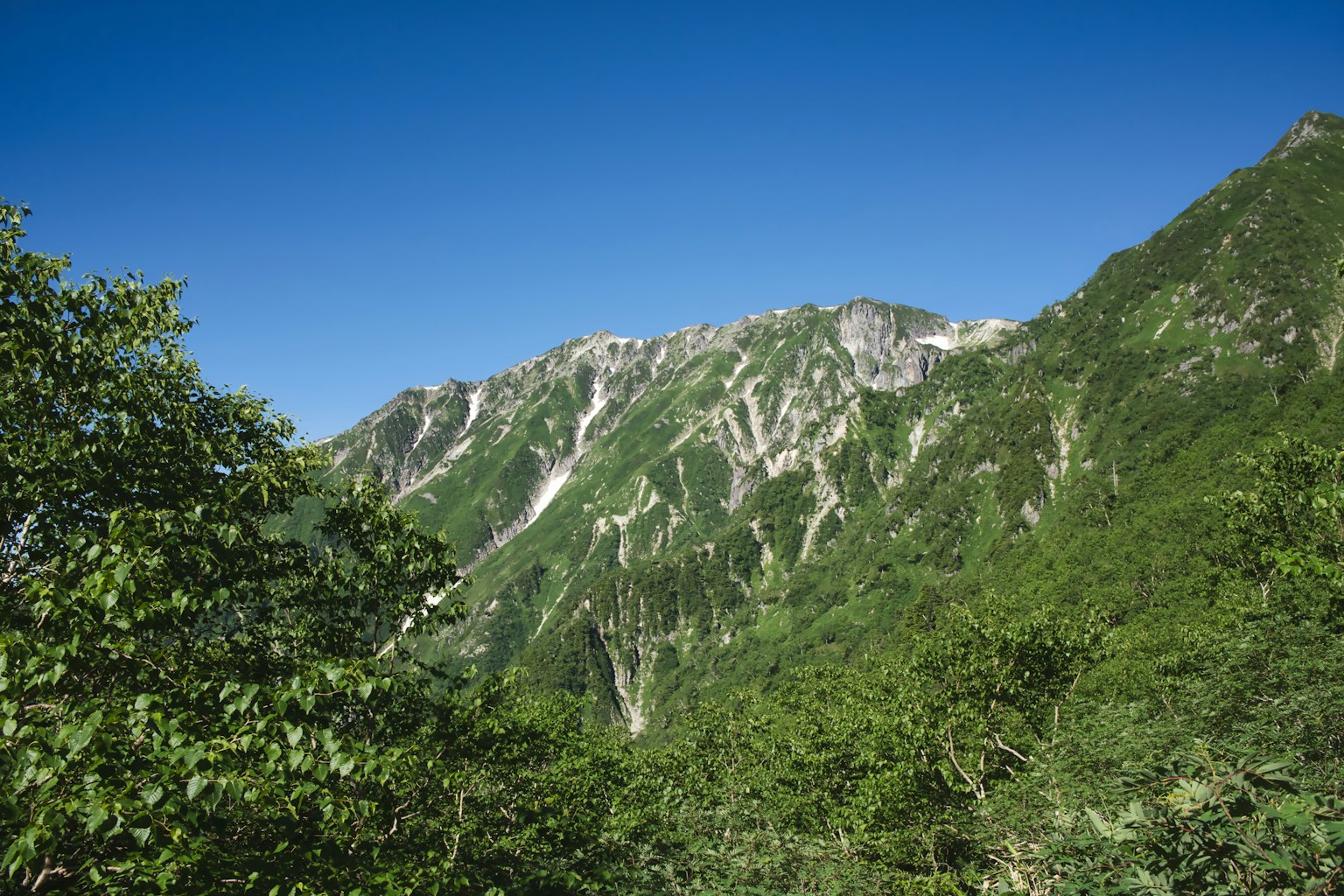 Montagnes verdoyantes sous un ciel bleu clair