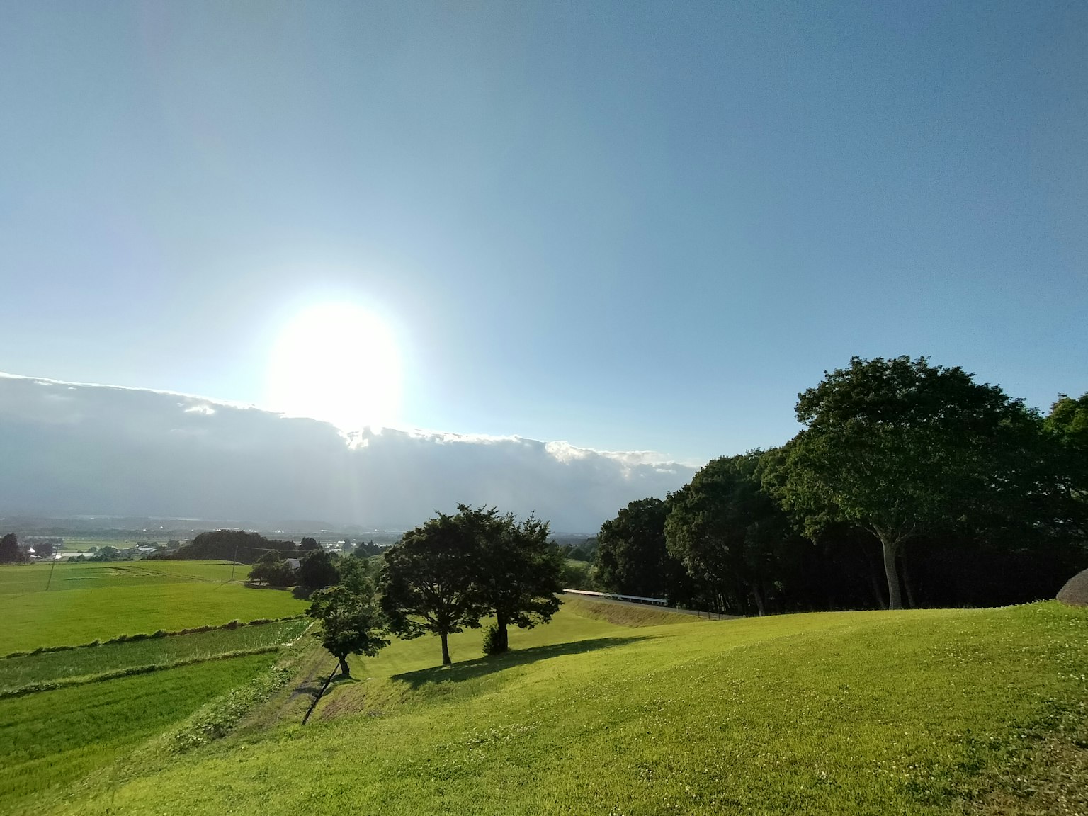 在明亮的阳光和蓝天下，绿色山丘和树木的风景