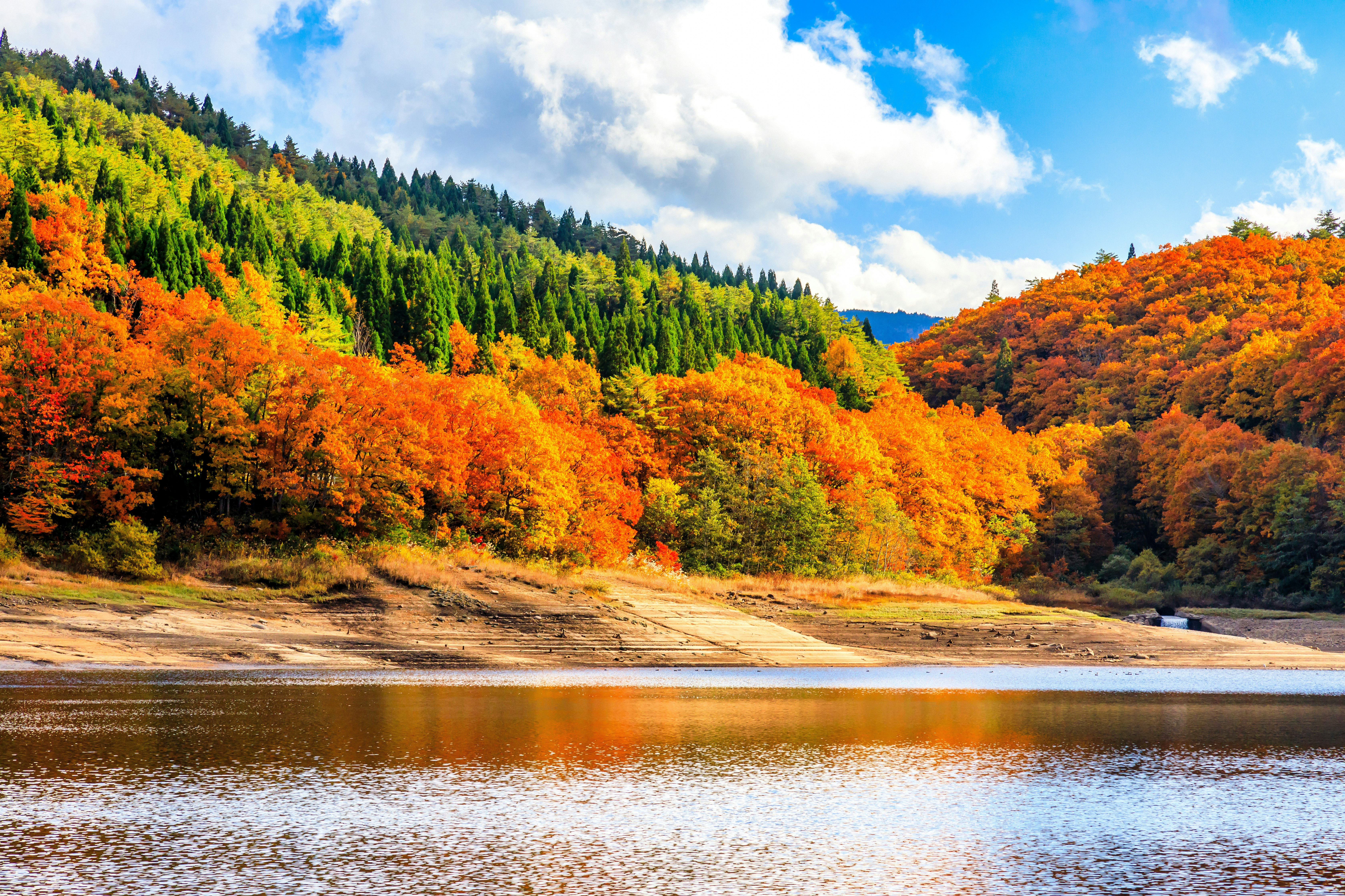 秋季高原湖畔與五彩紅葉風景
