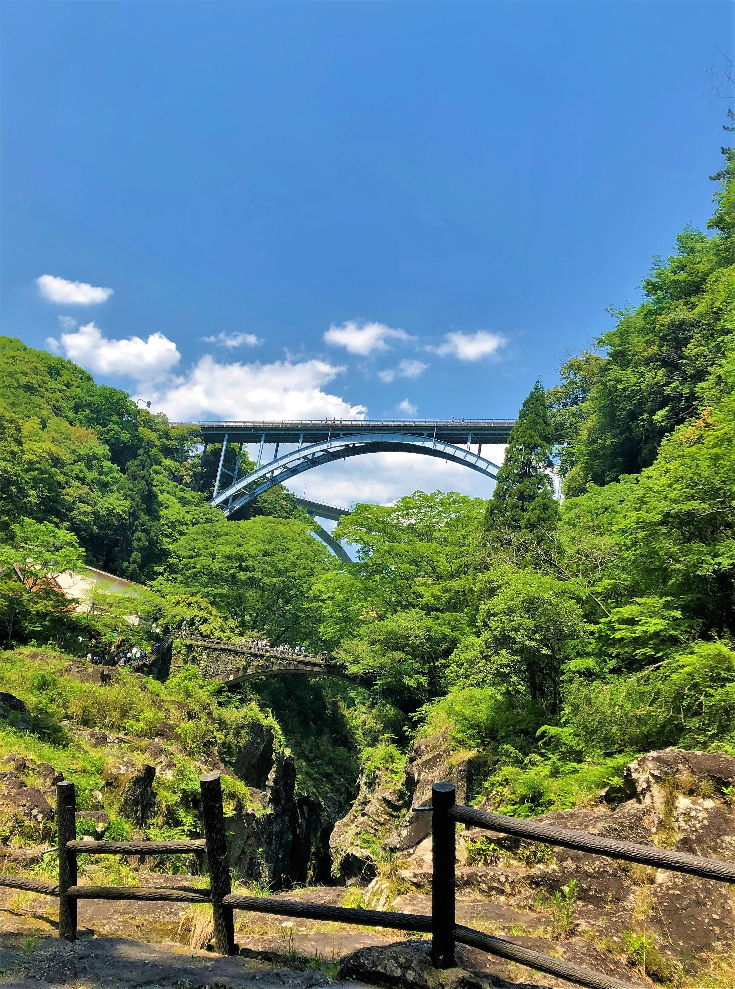 渓谷の緑の中を走るアーチ橋の風景