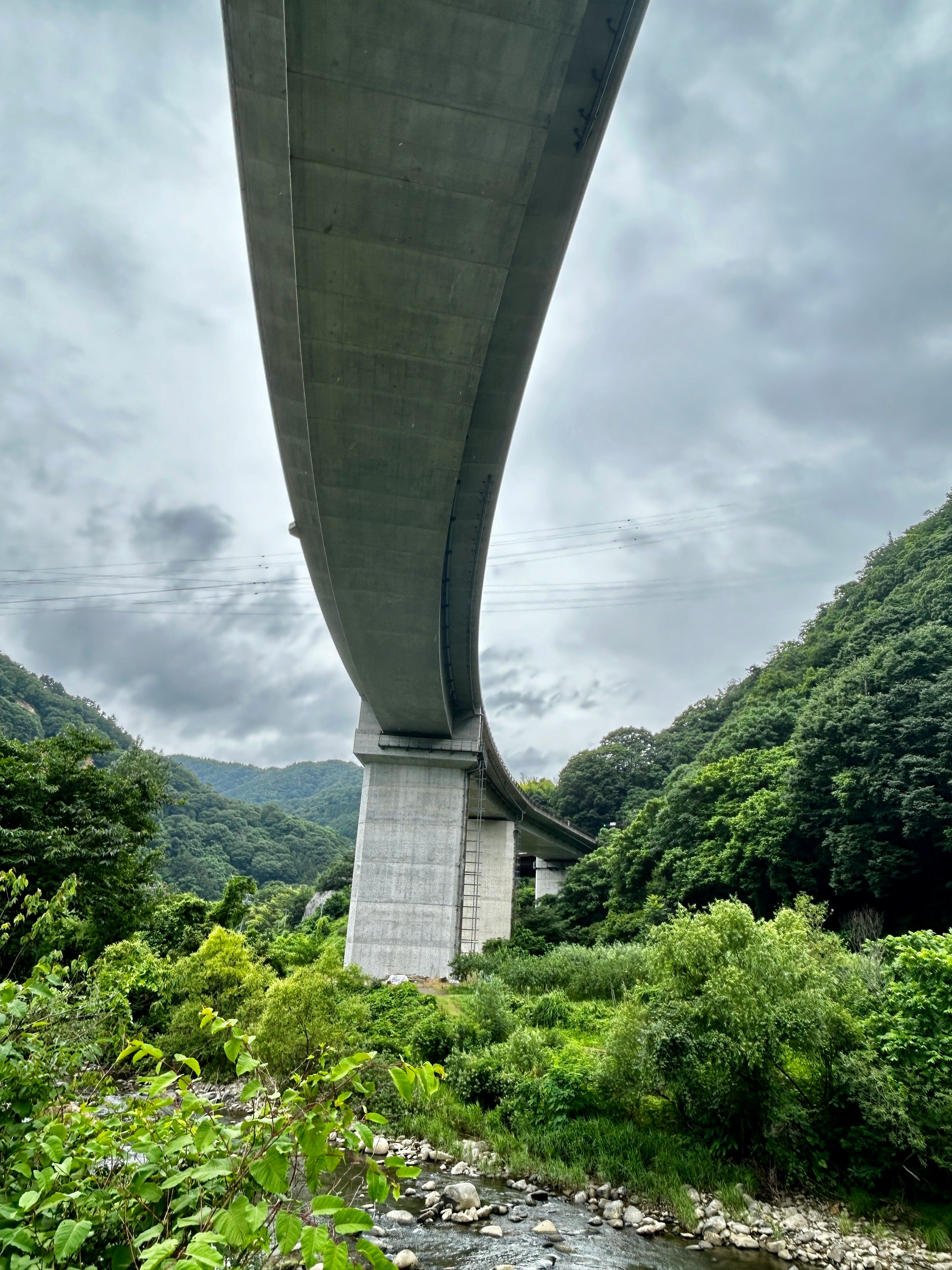 仰视茂菅大桥与裾花川河谷的青翠绿意