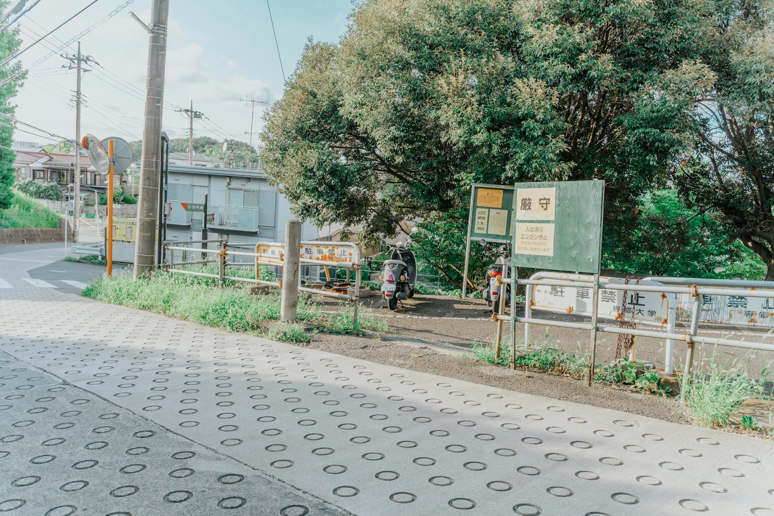 一处宁静的路边景象，绿树和标志