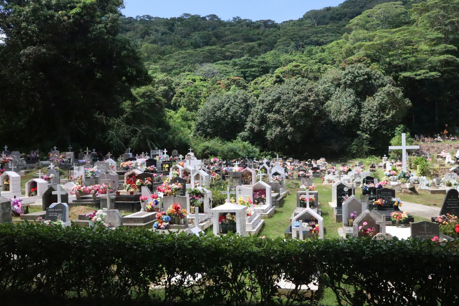 Eine Friedhofsszene mit Grabsteinen, die mit Blumen geschmückt sind