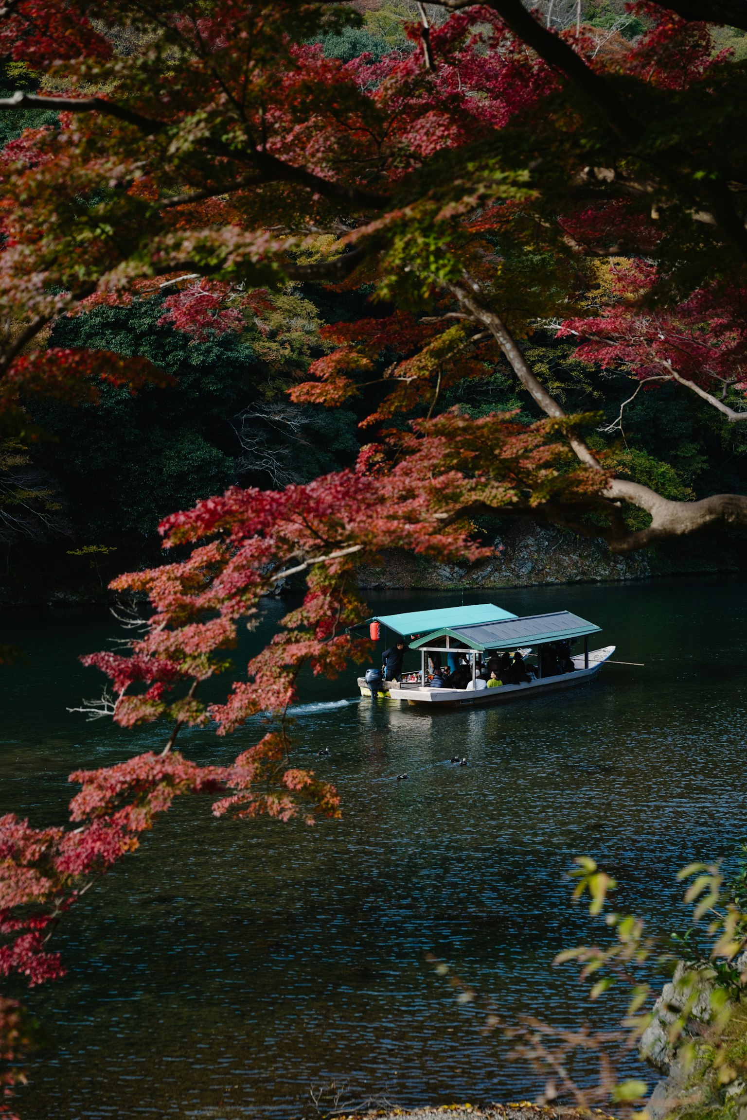 紅葉に囲まれた川を進む小舟の風景