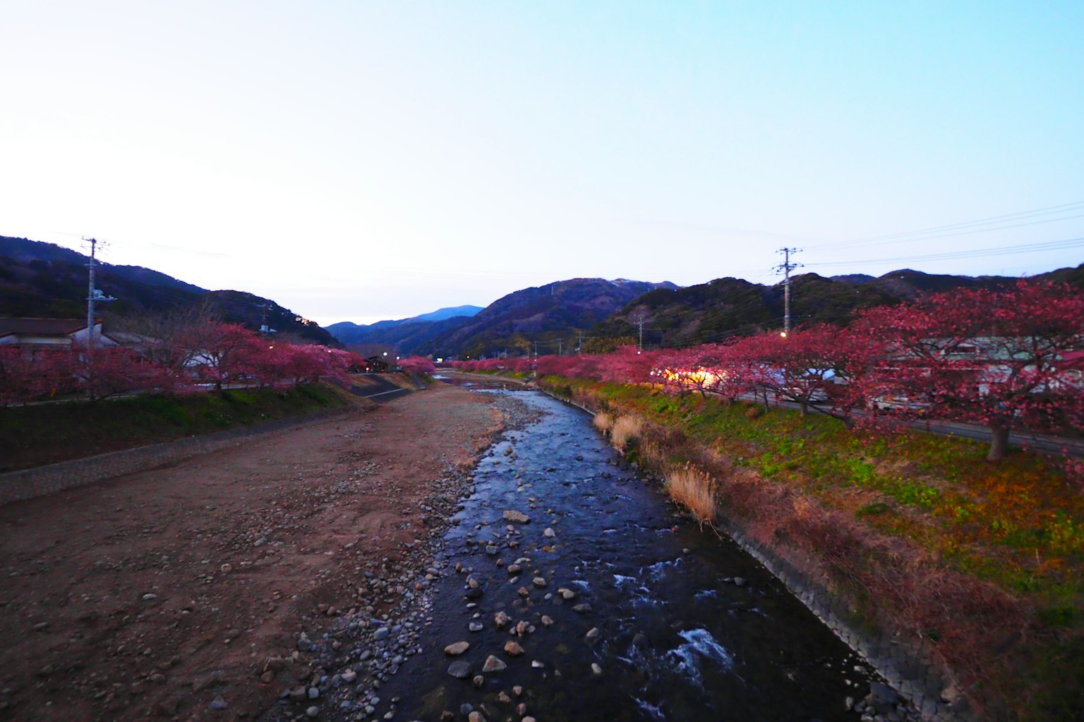 川と桜の木々が並ぶ風景の写真