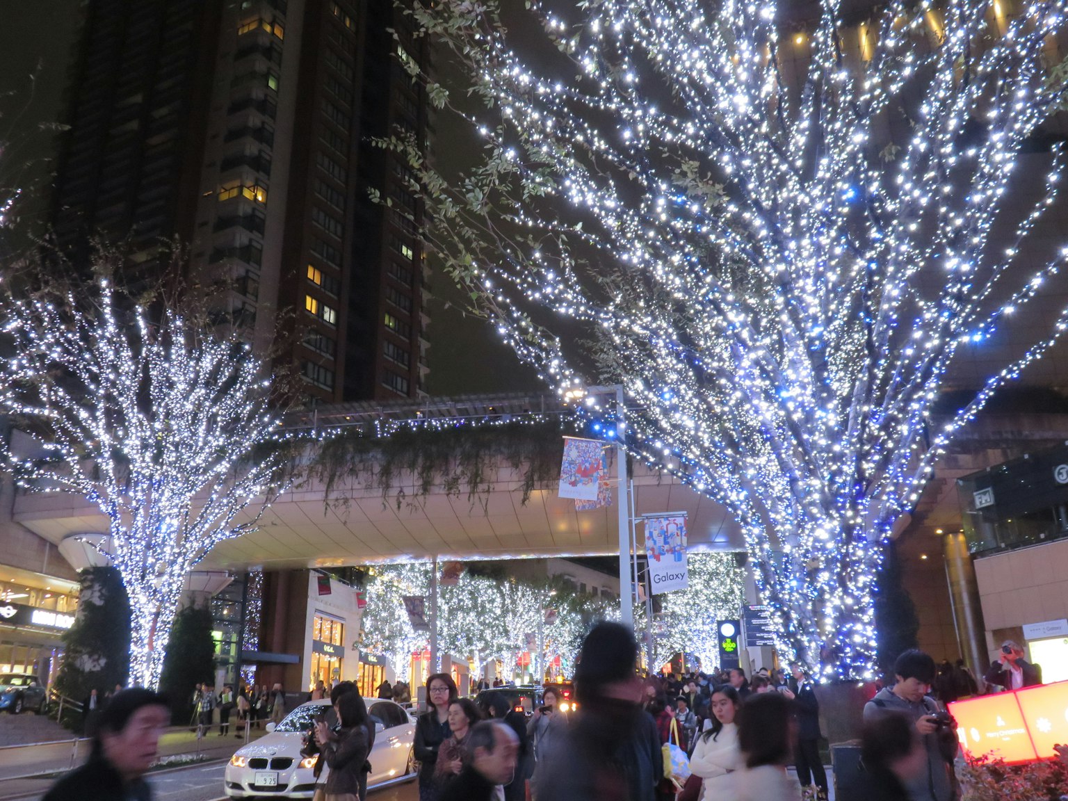 Alberi illuminati con luci blu e bianche in una strada affollata della città di notte