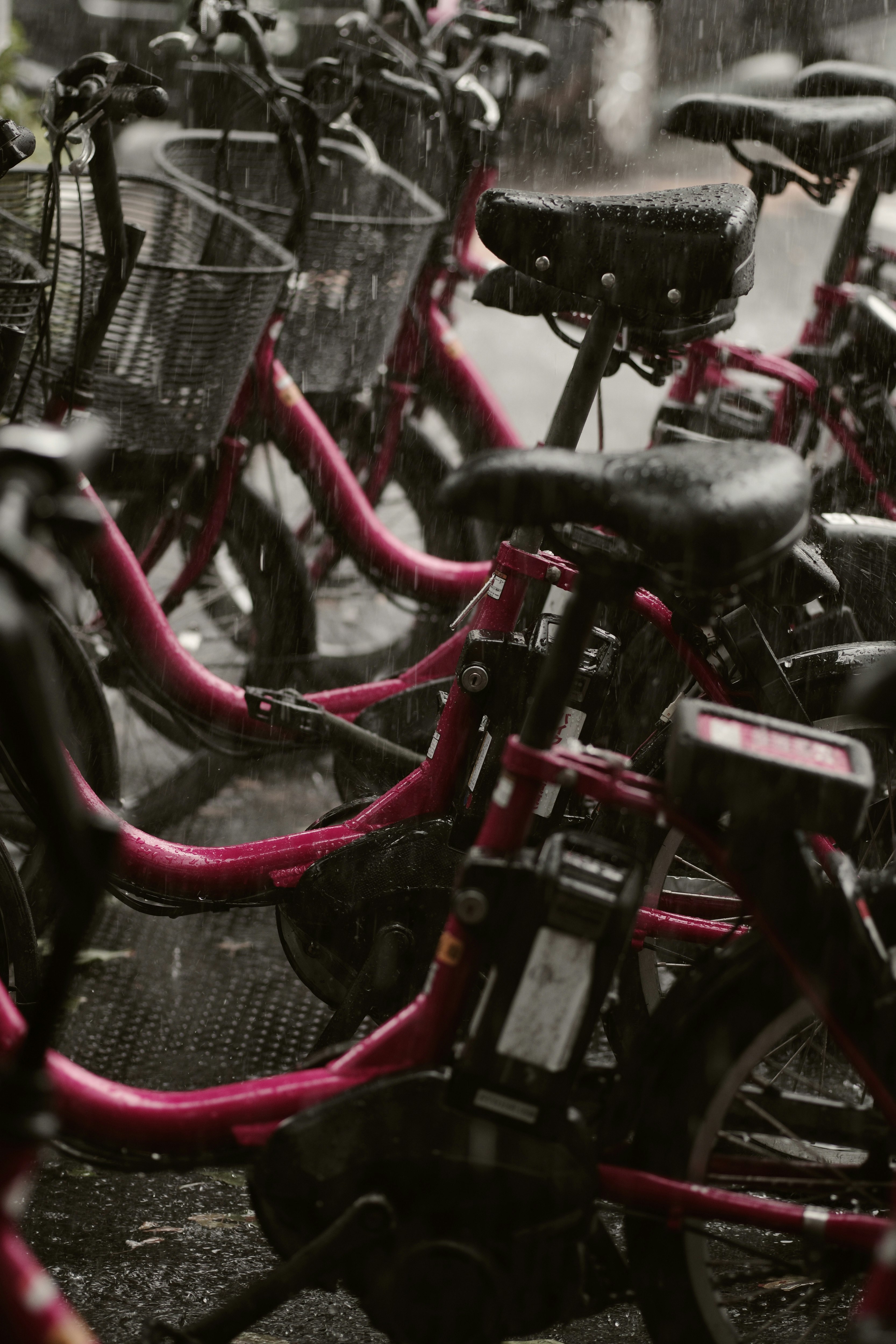 Rain-soaked bicycles lined up along a narrow shopping alley