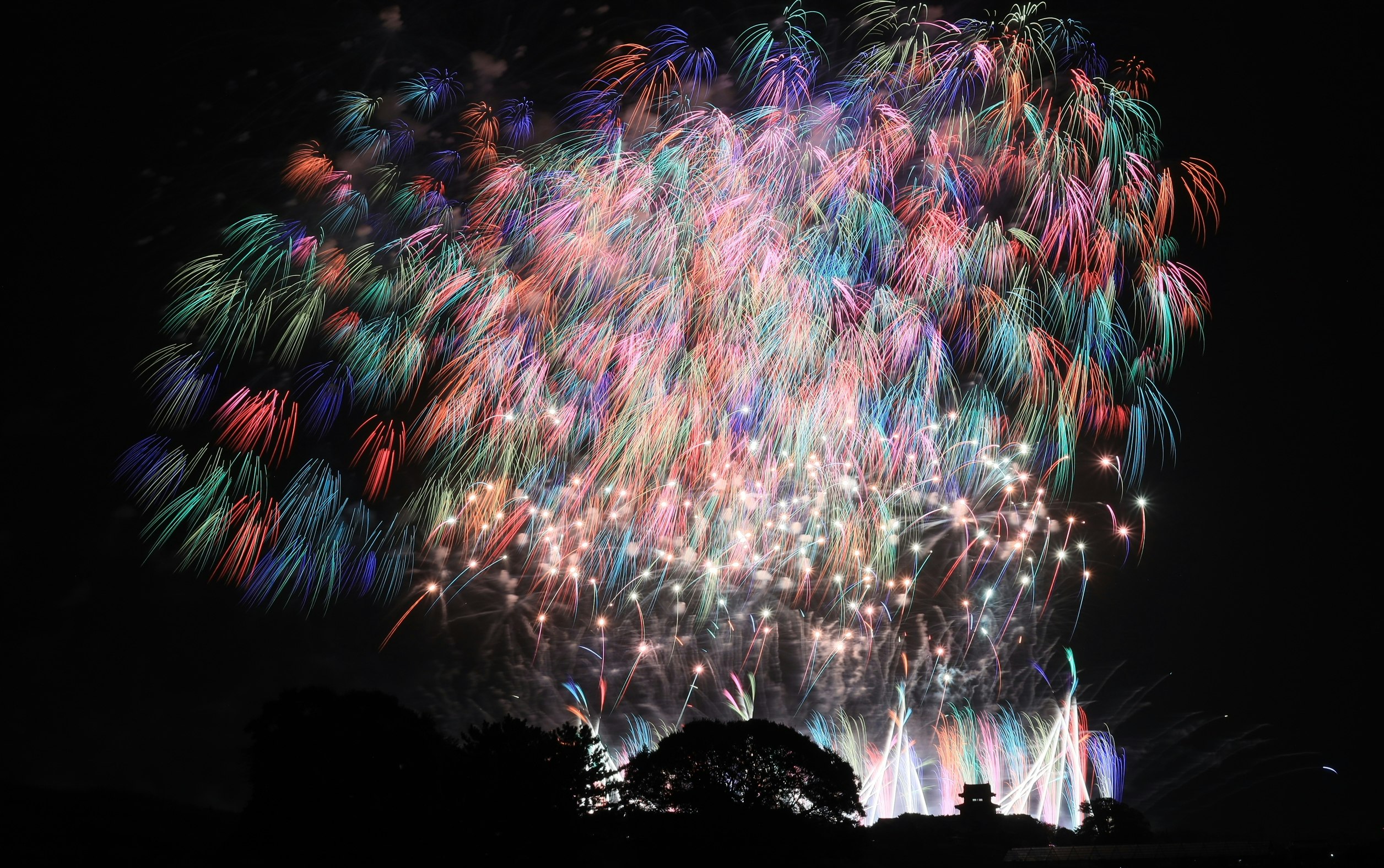 利根川花火大会の夜空に咲く大輪の花火画像