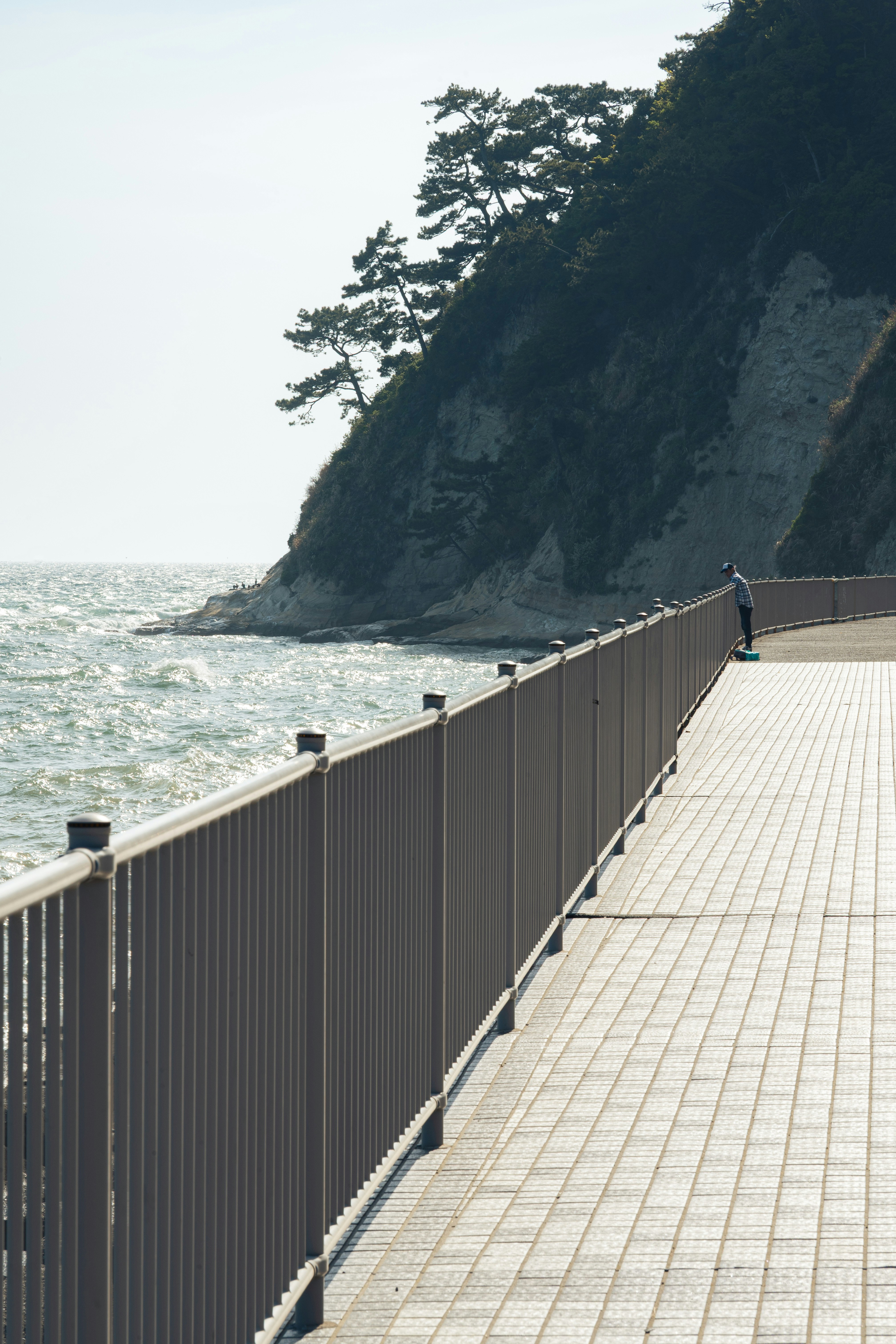 seaside boardwalk along a cliff image