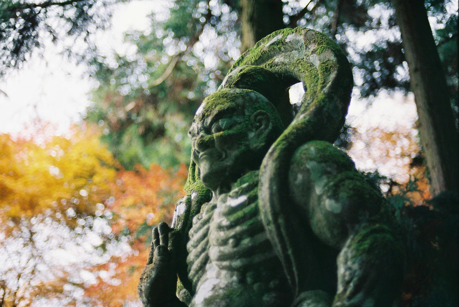 Statue mystique recouverte de mousse se tenant parmi des arbres aux couleurs d'automne