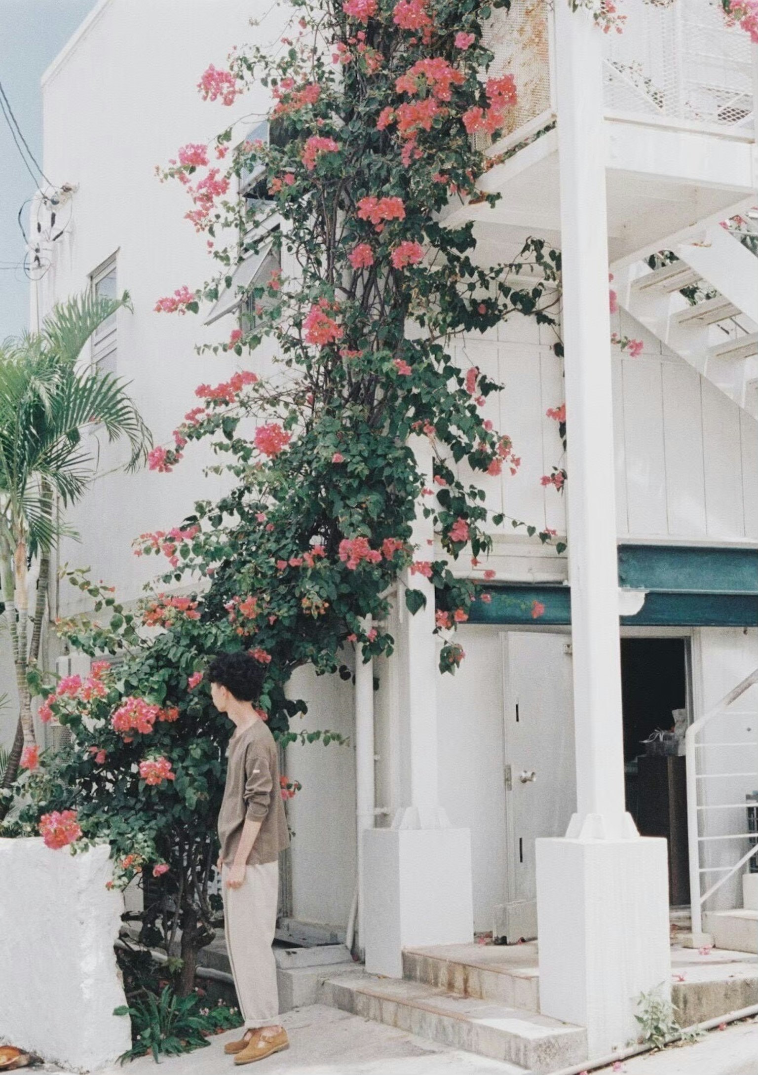 Une personne se tenant à côté de fleurs de bougainvillier vibrantes sur un bâtiment blanc