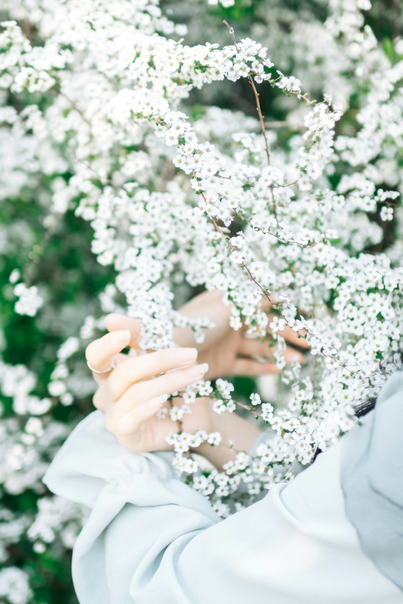 Hände, die zarte weiße Blumen sanft halten