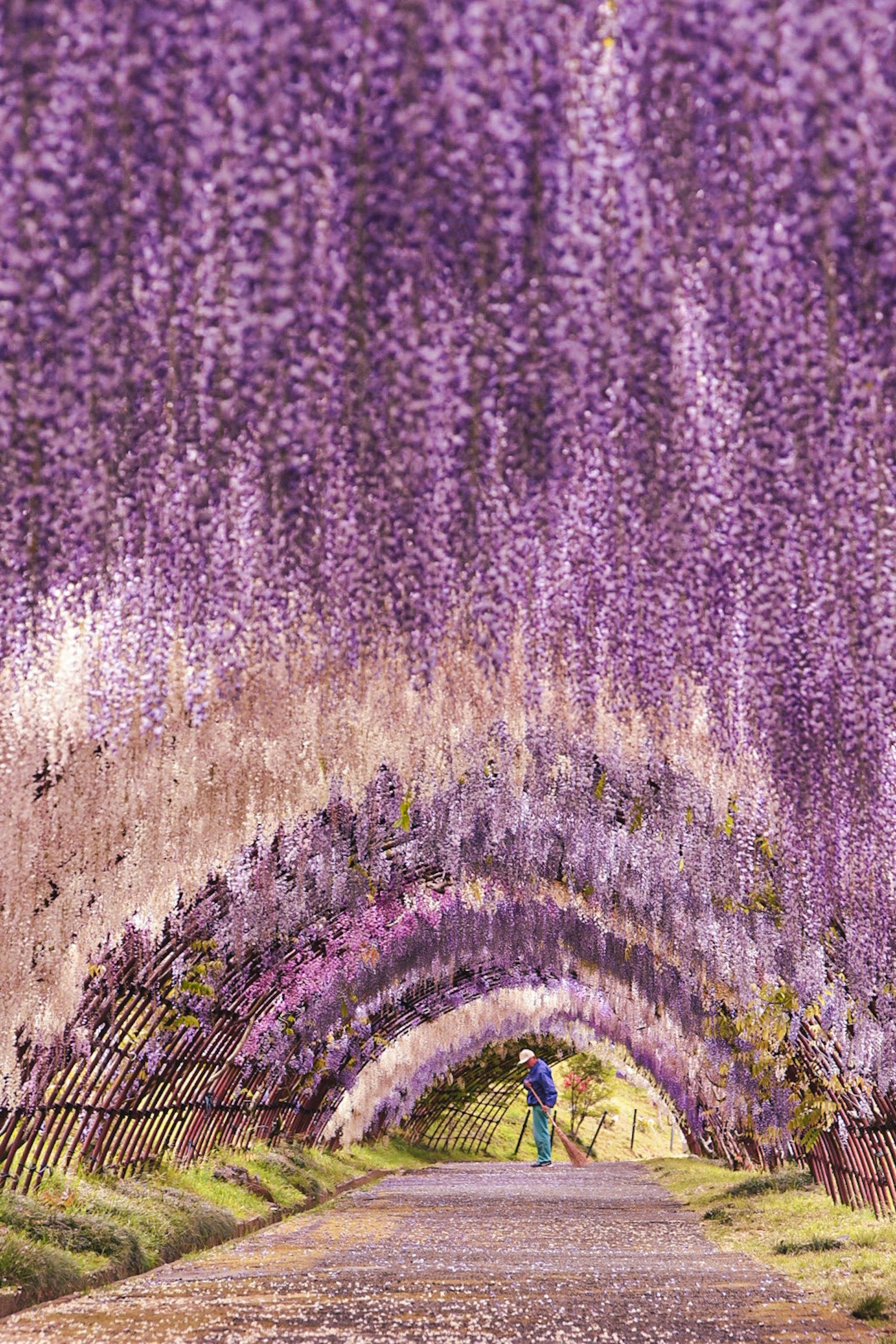 photo-6yZxOD8jTLR1lGITRG88-image