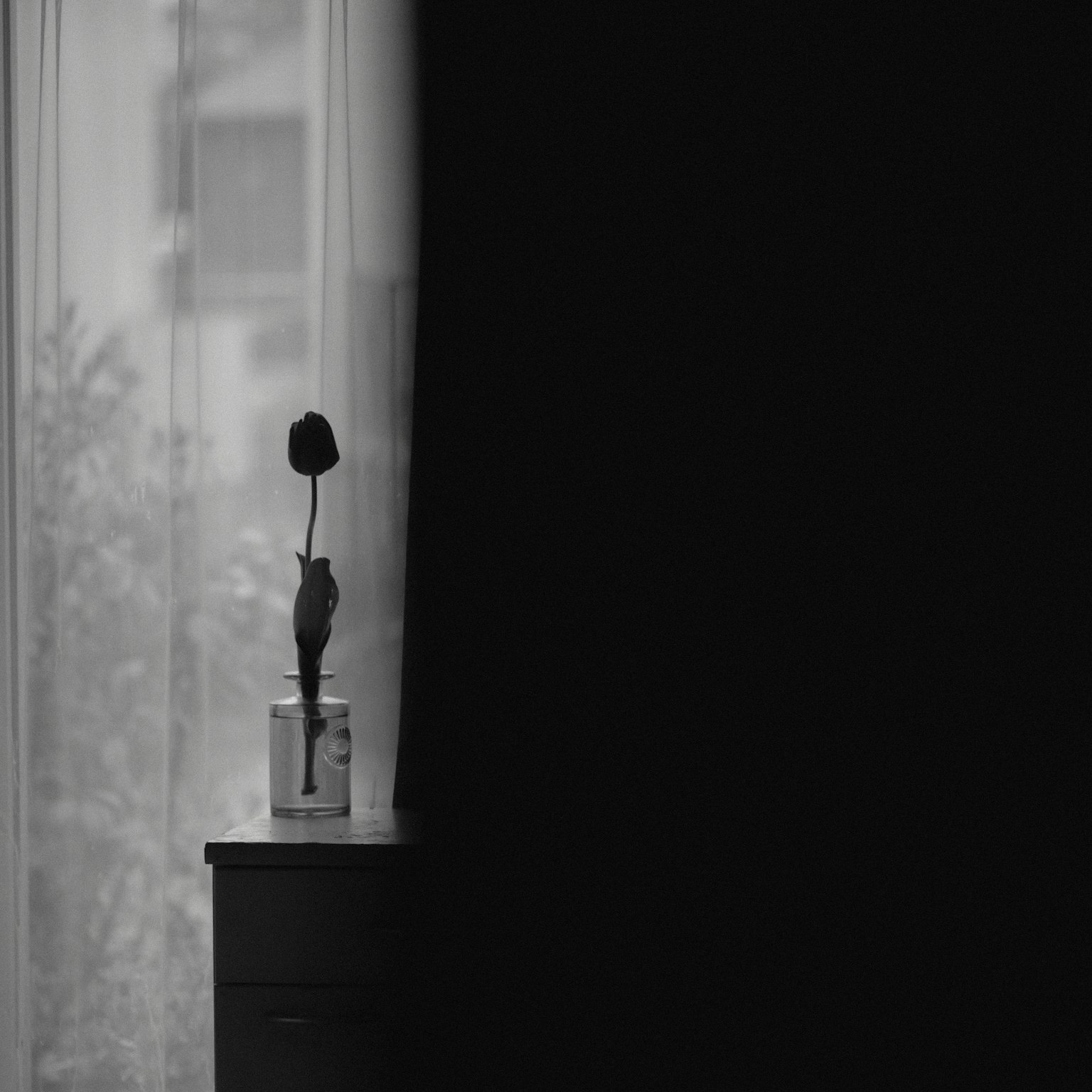A single rose in a vase on a dark table near a window with sheer curtains