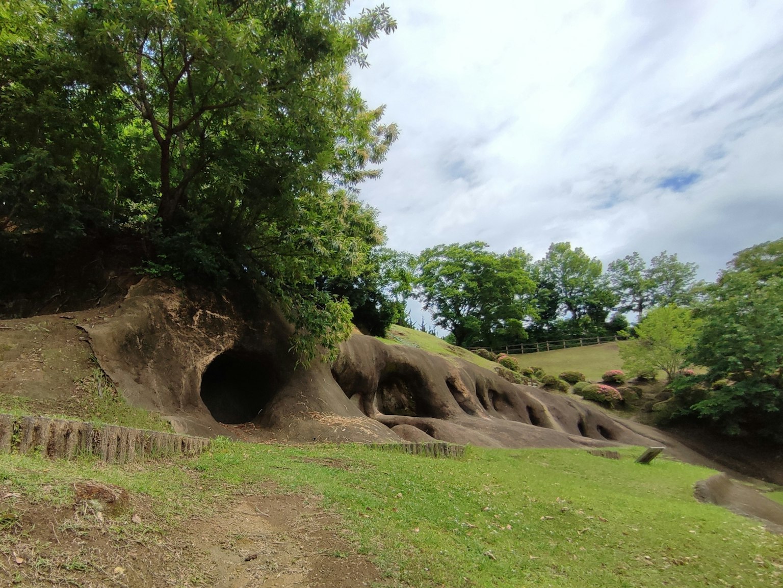 Paesaggio naturale con una collina erbosa e alberi