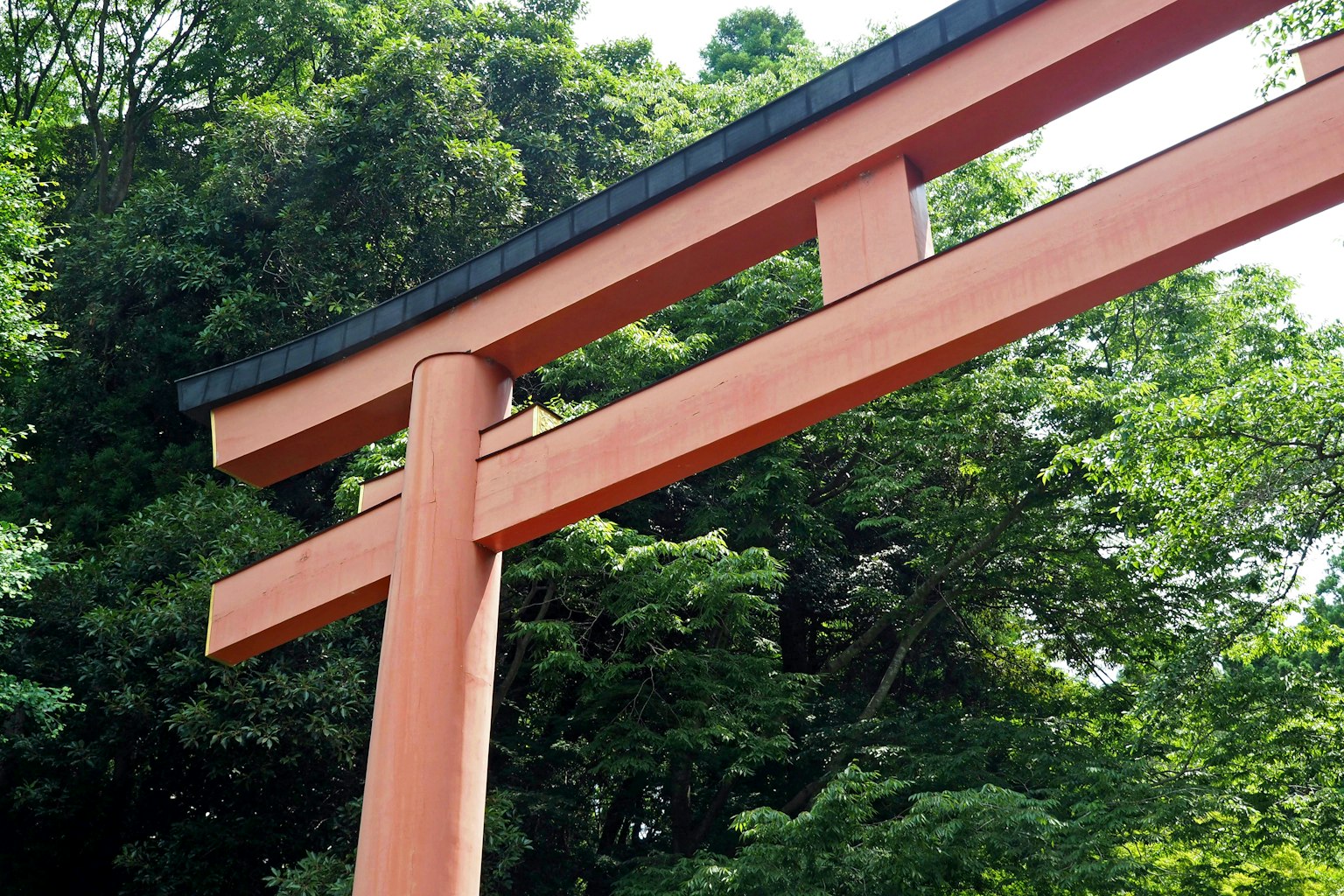 Primo piano di un cancello torii rosso su uno sfondo verde