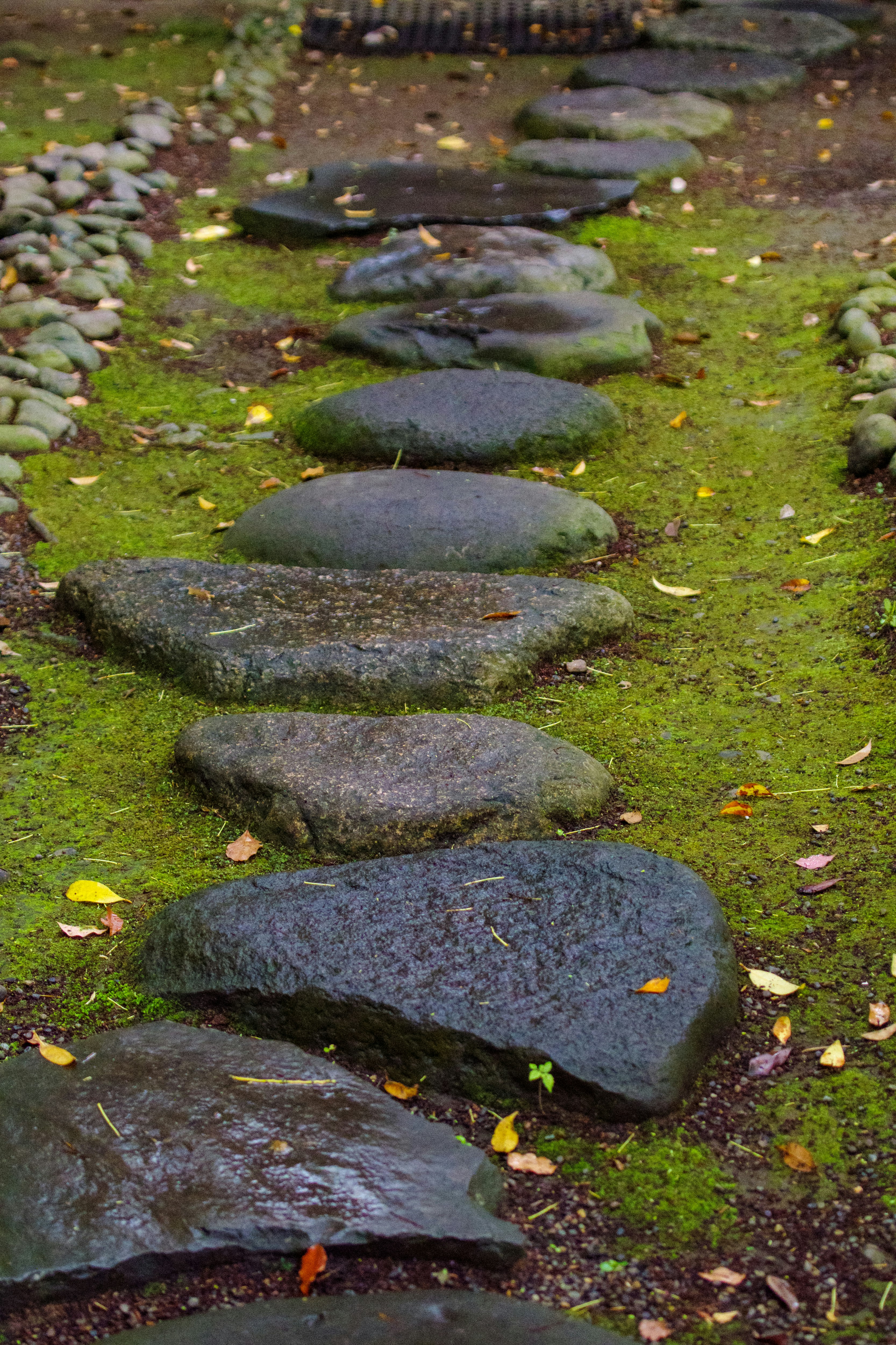 Mossy stone stepping path with fallen leaves