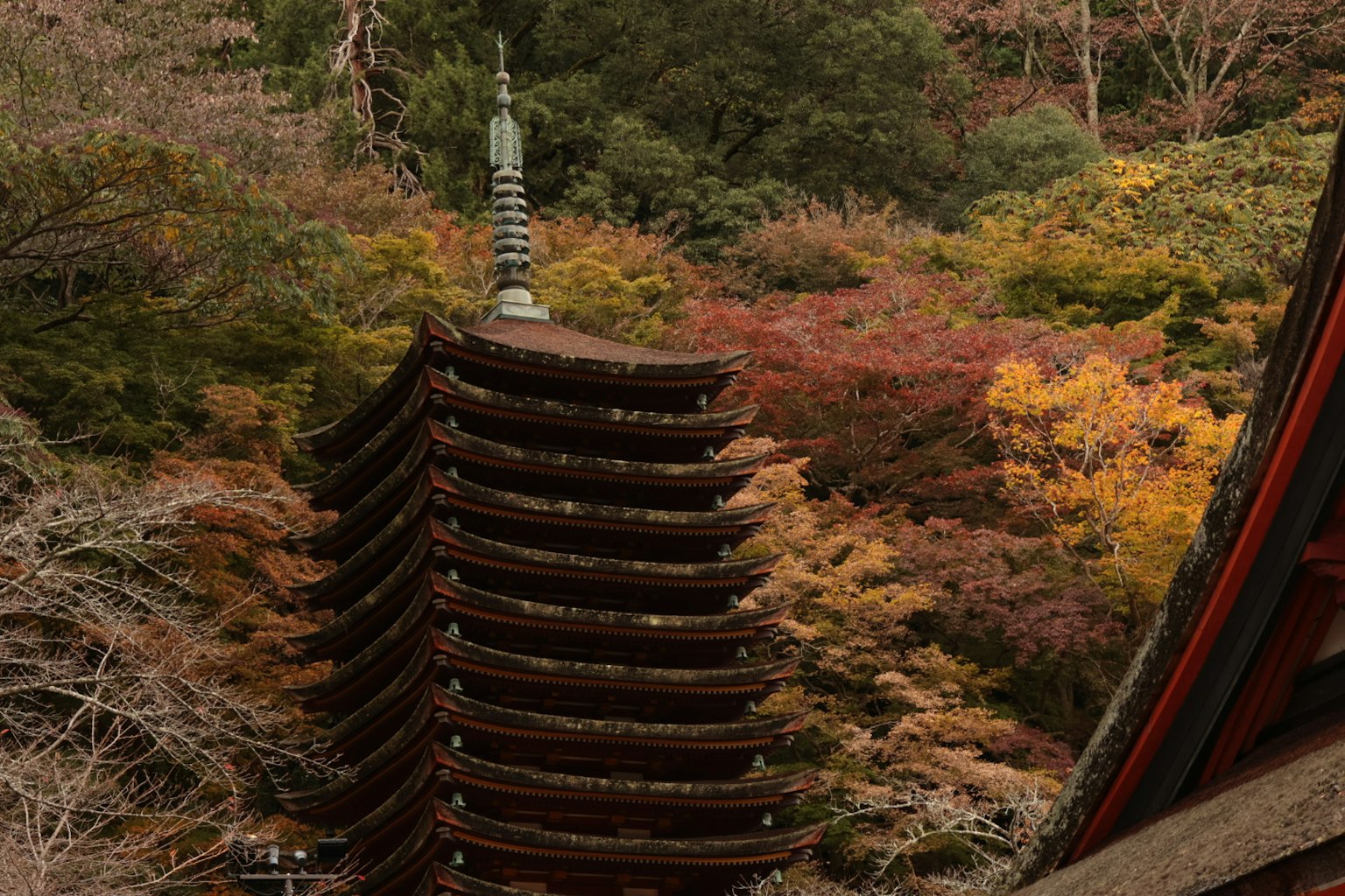 Pagoda a cinque piani circondata da un fogliame autunnale vibrante