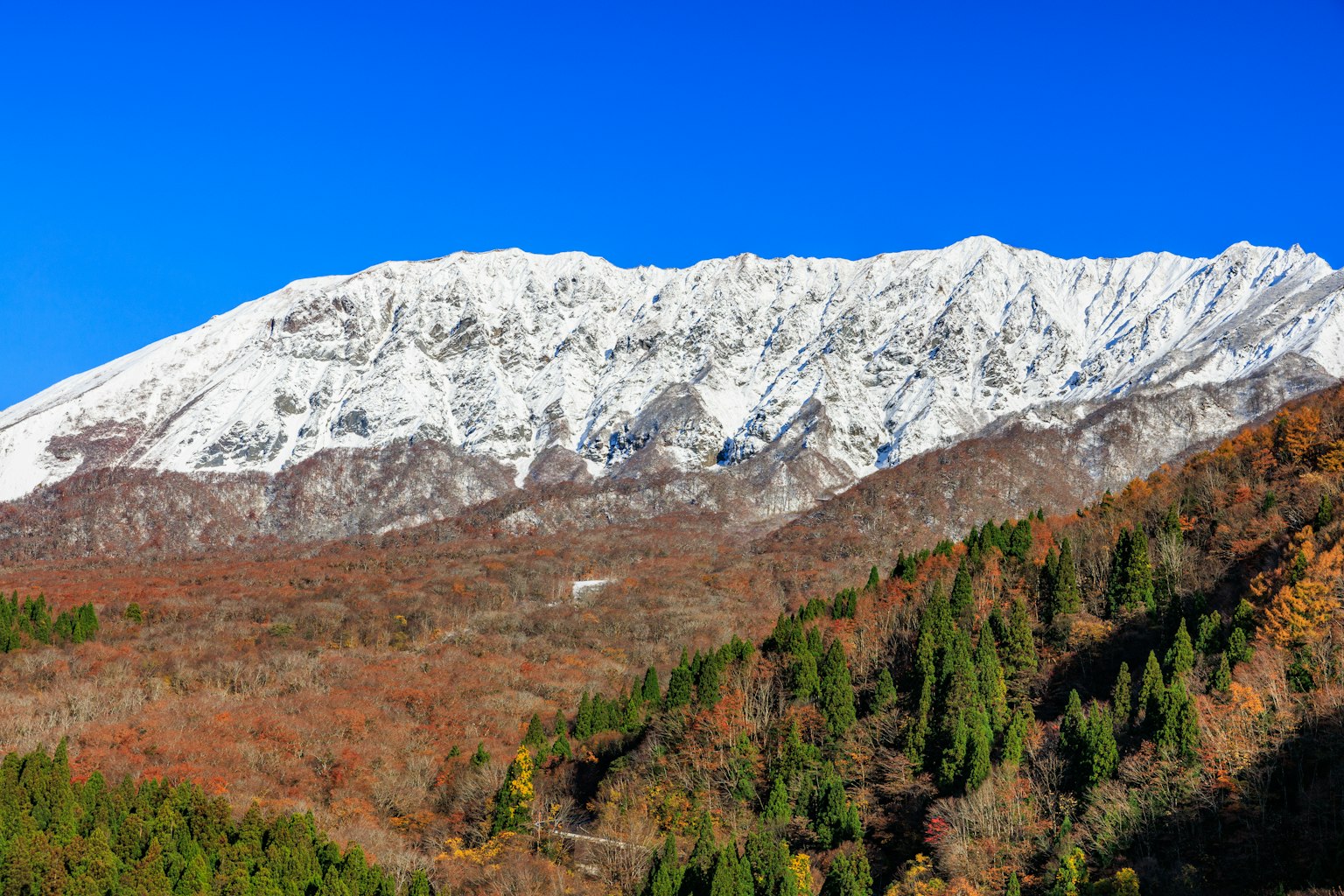 Snow-covered mountains with autumn foliage in the foreground
