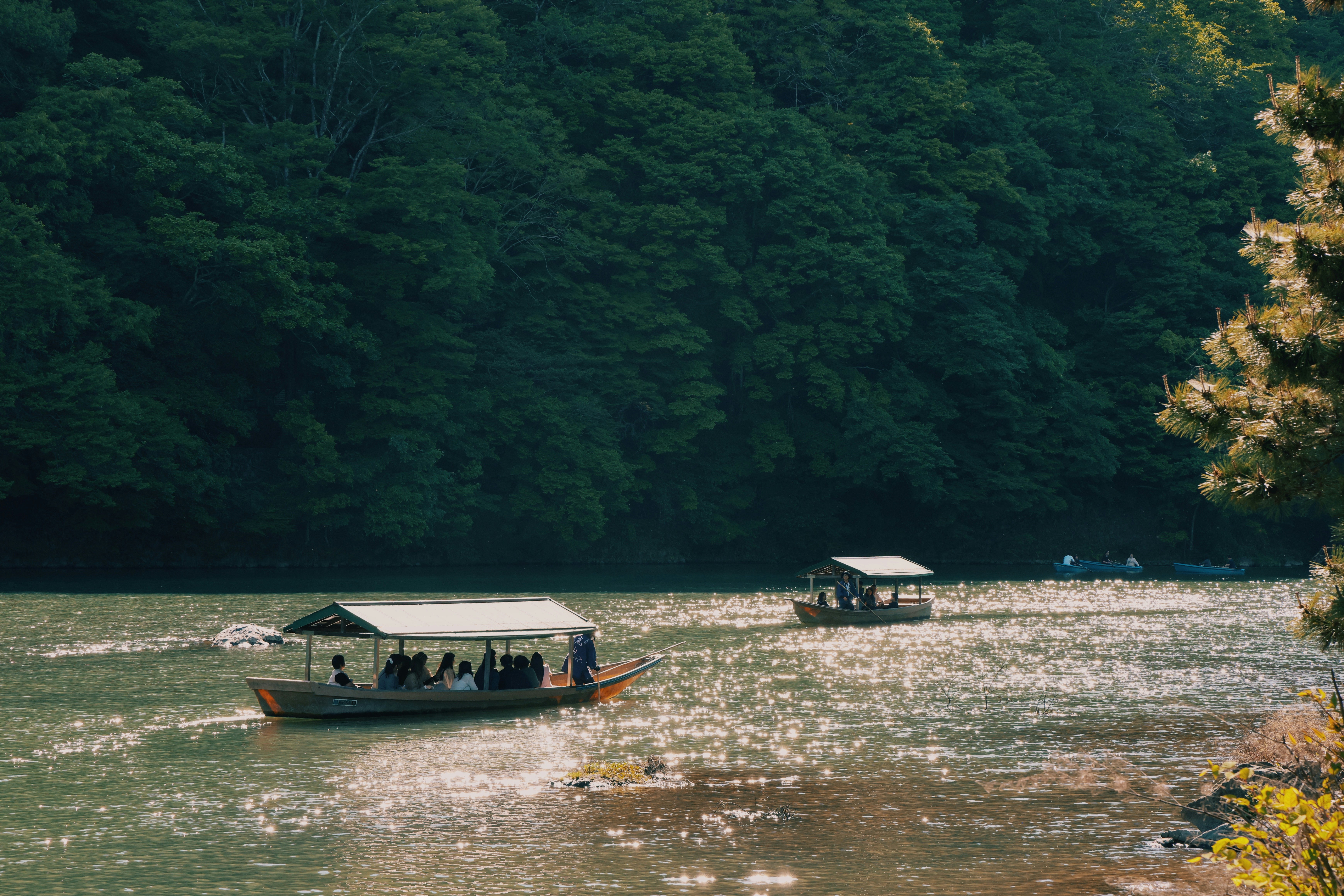 เรือขนาดเล็กแล่นตามริมแม่น้ำพร้อมกระท่อมริมน้ำ