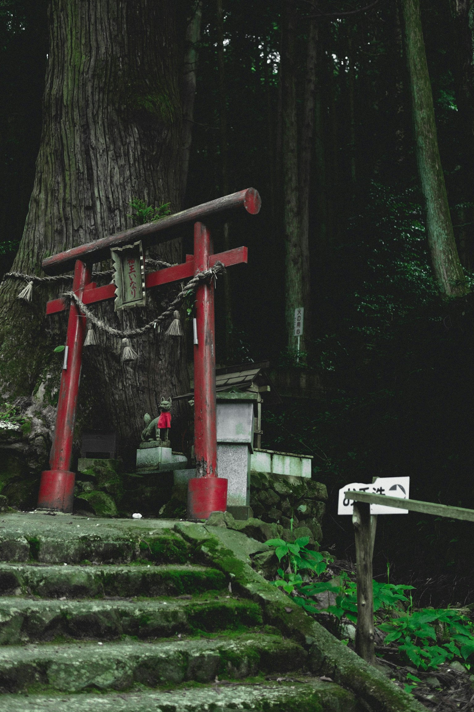 Ein rotes Torii mit Steinstufen, die zu einem Schrein führen