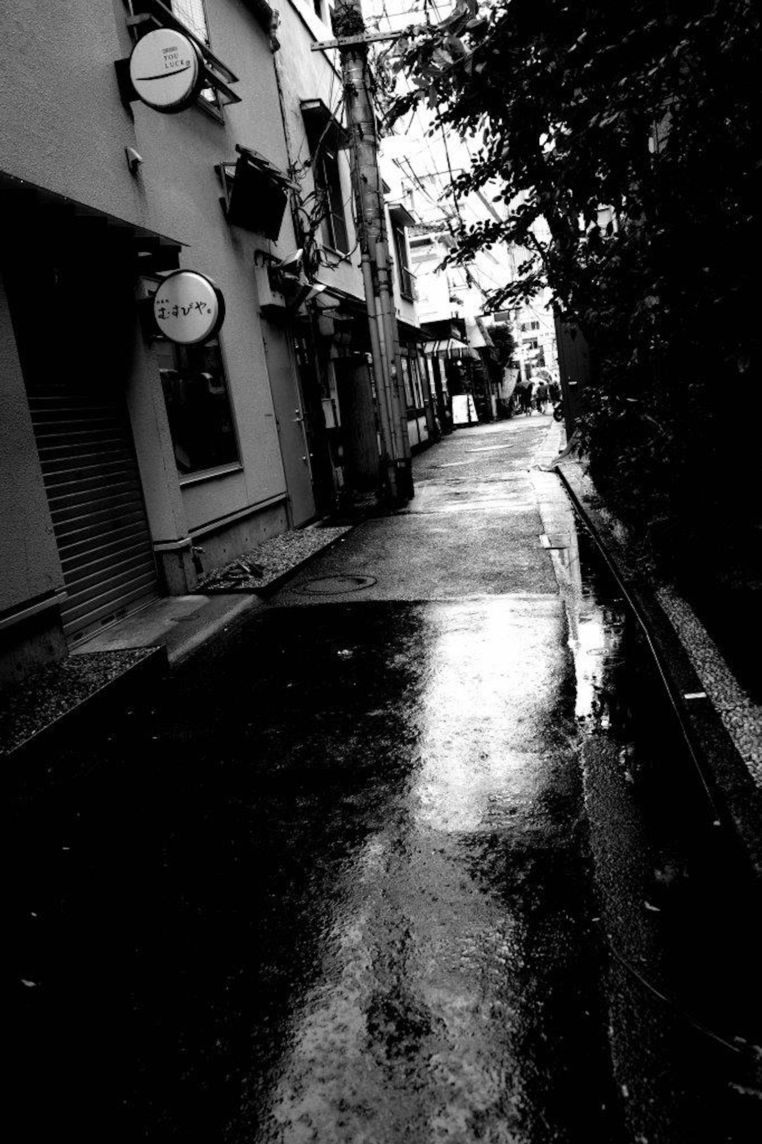 雨后安静的巷子场景 建筑物排成一排 光滑的人行道