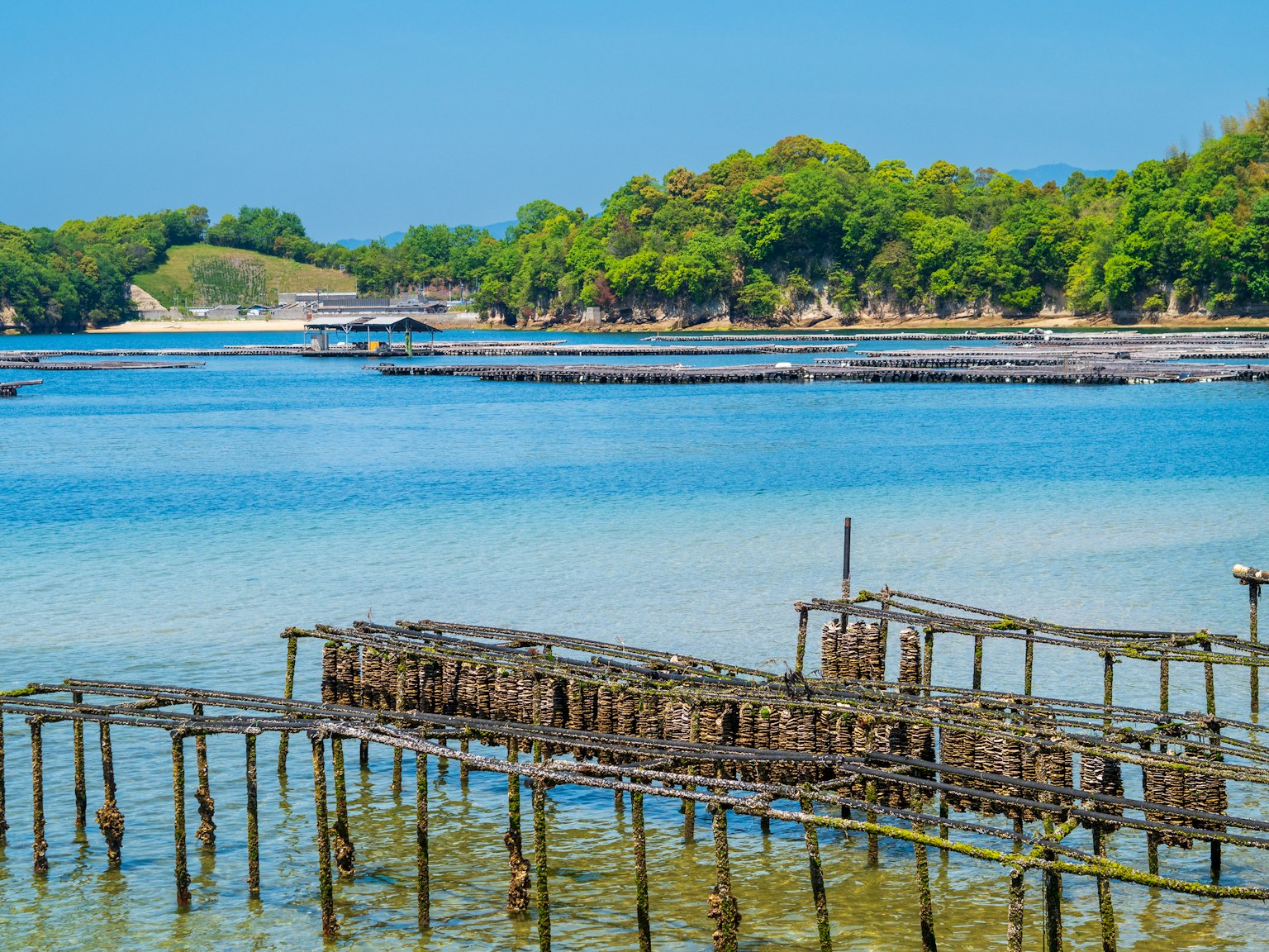 Malerscher Blick auf ein blaues Meer mit grünen Bäumen ein alter Holzsteg schwimmt im Wasser