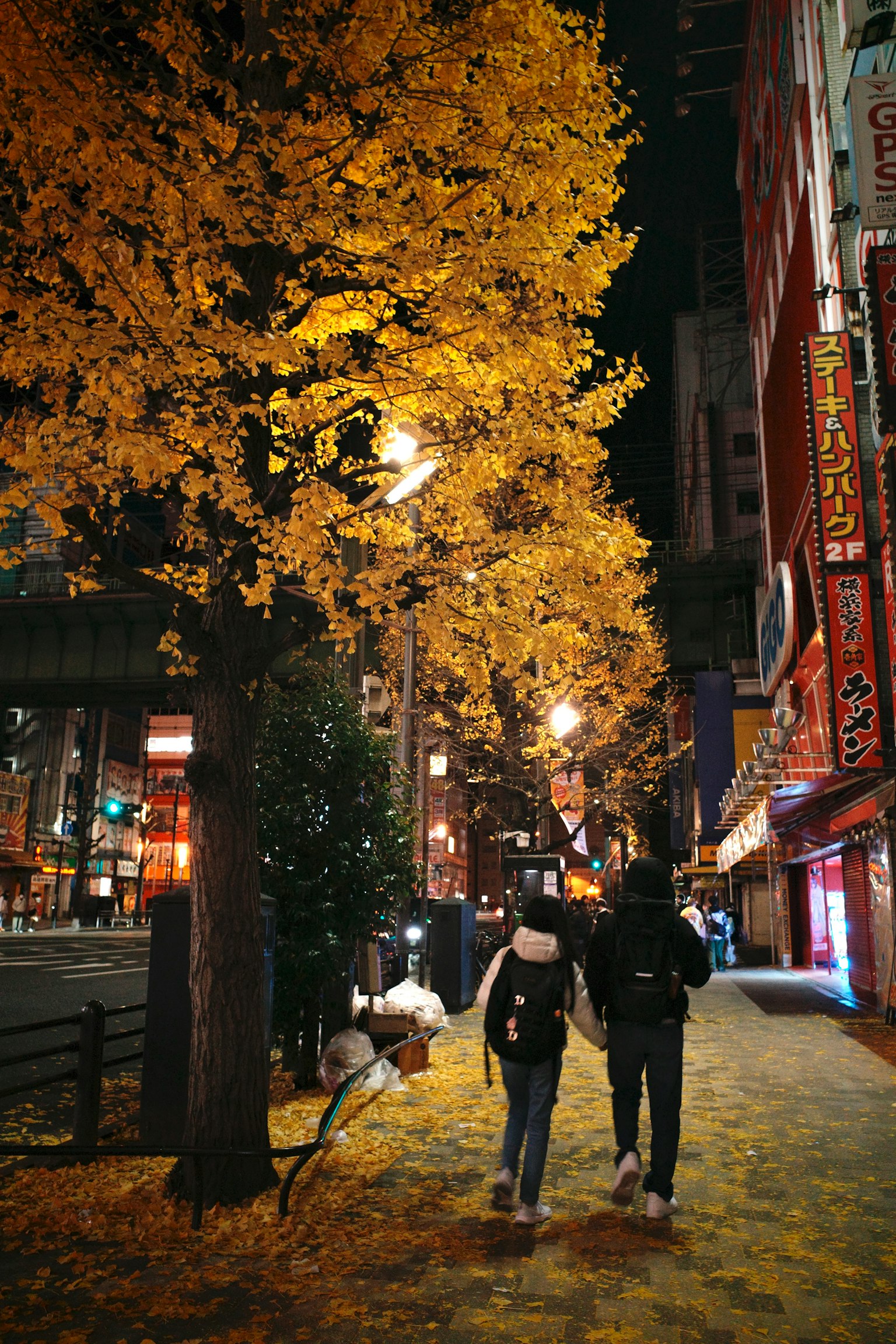 夜晚在黃色銀杏樹下散步的情侶