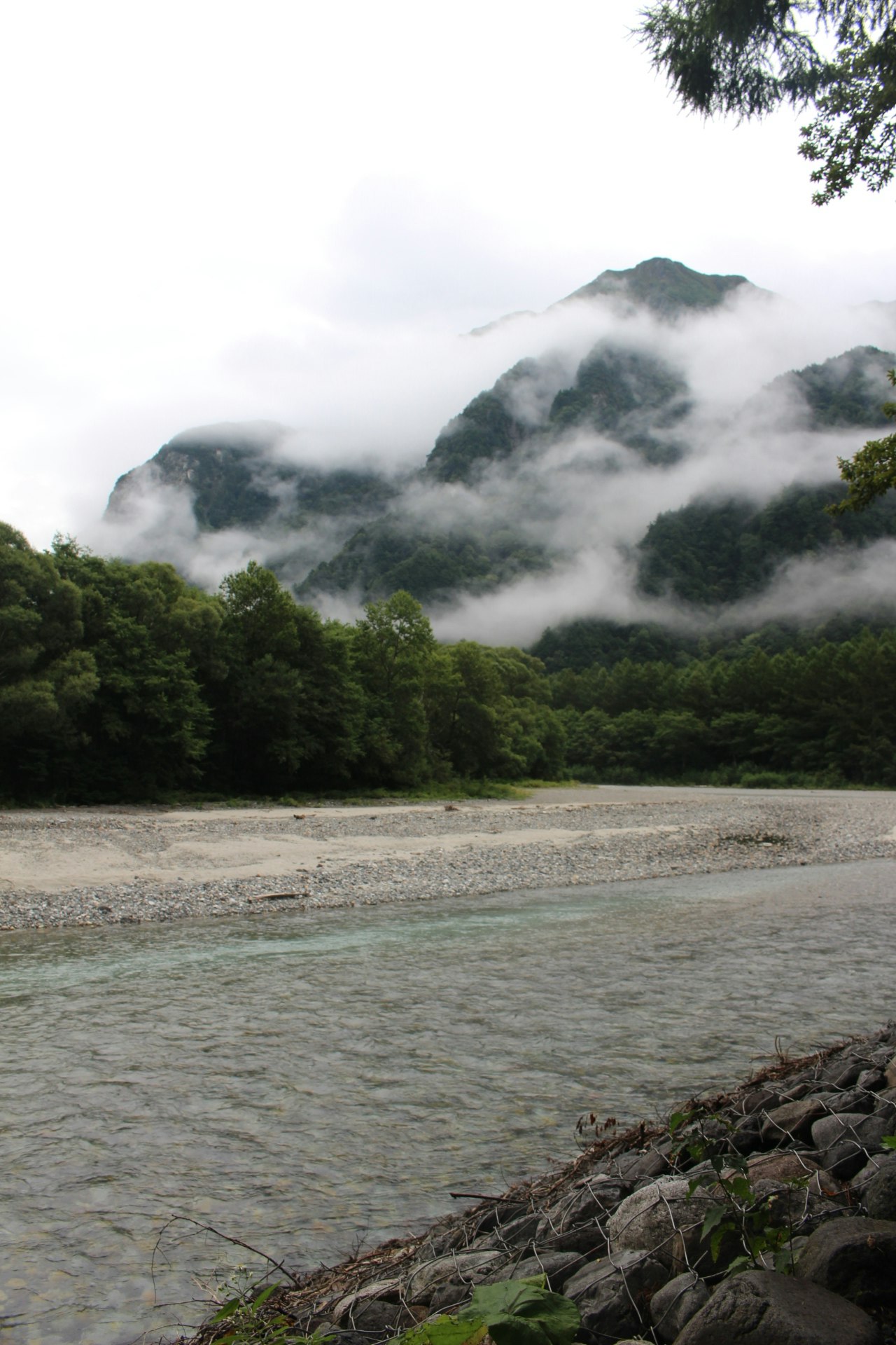 霧に包まれた山並みと川沿いの緑の森の風景