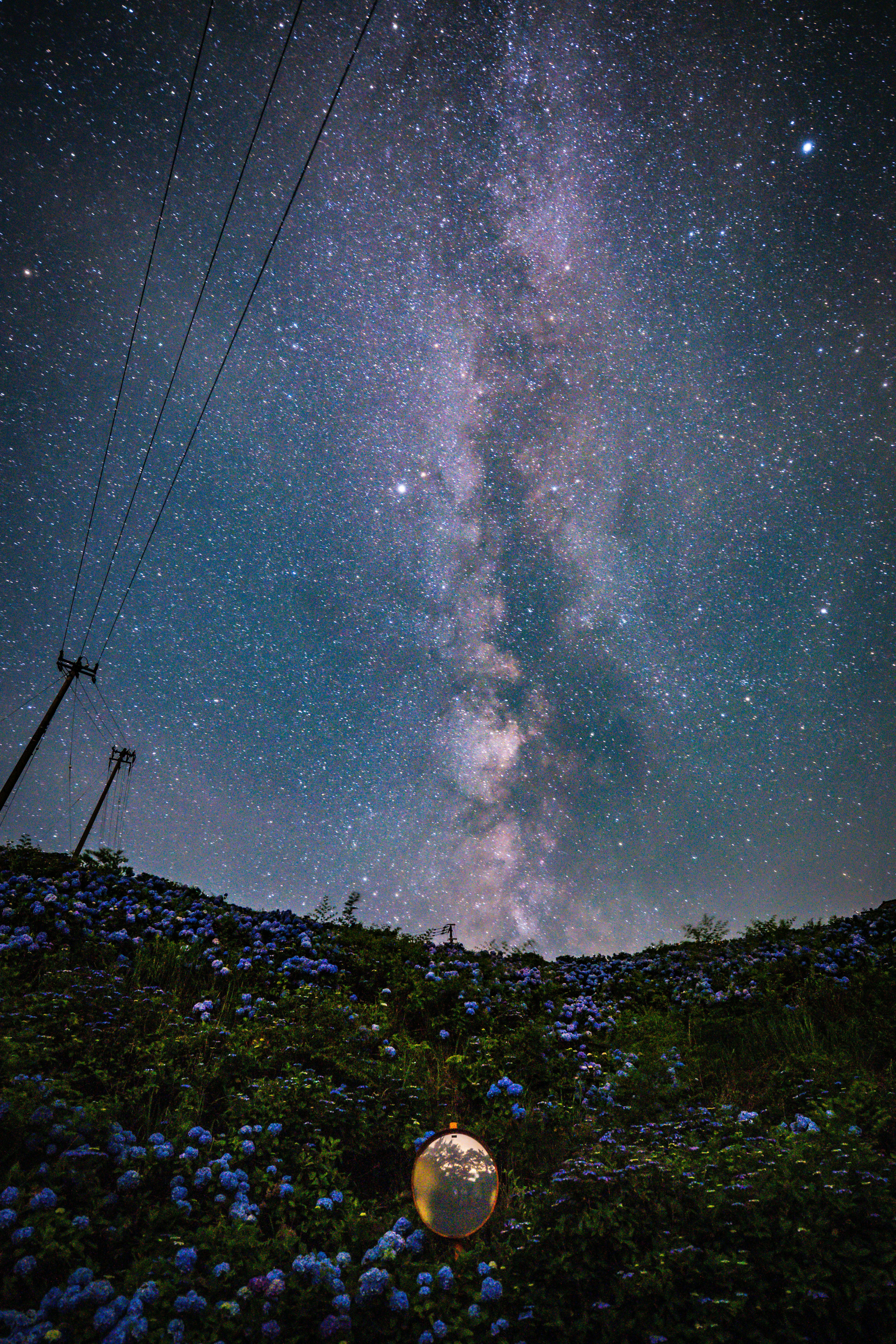 紫陽花の咲く丘と天の川の夜空