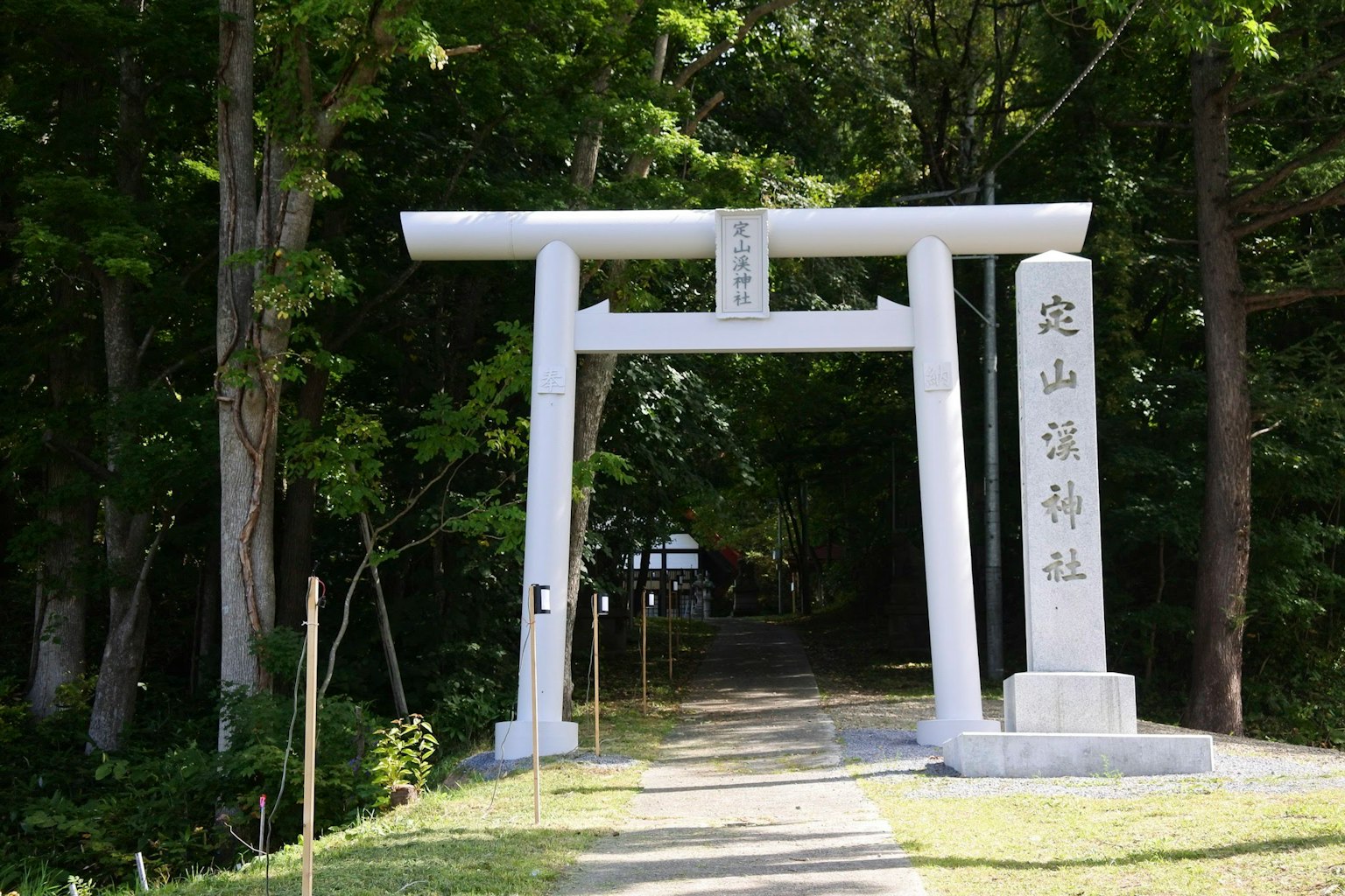 白色鳥居被綠色樹木環繞的神社入口
