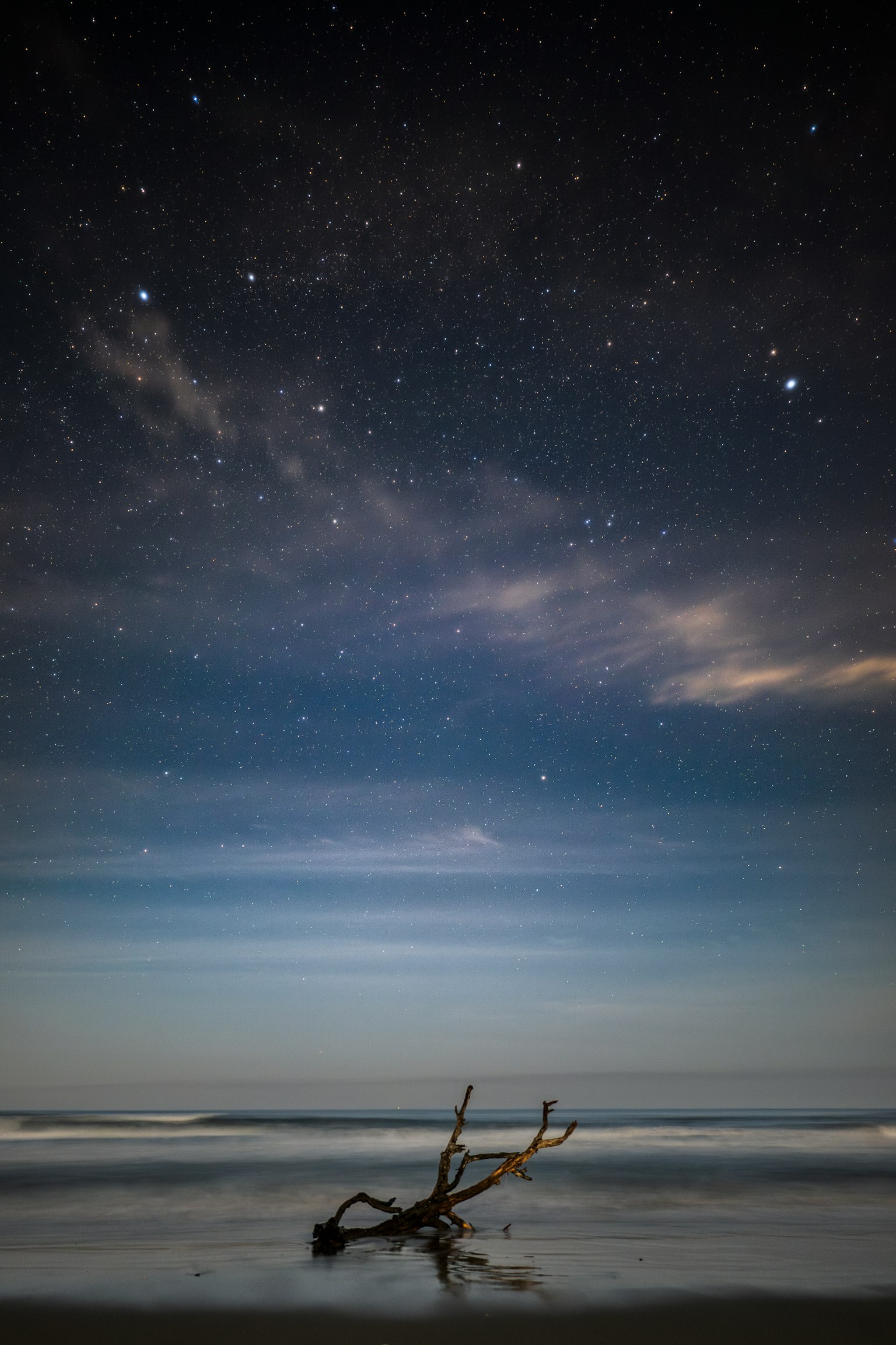 寧靜的海灘場景，漂流木輪廓映襯在星空下