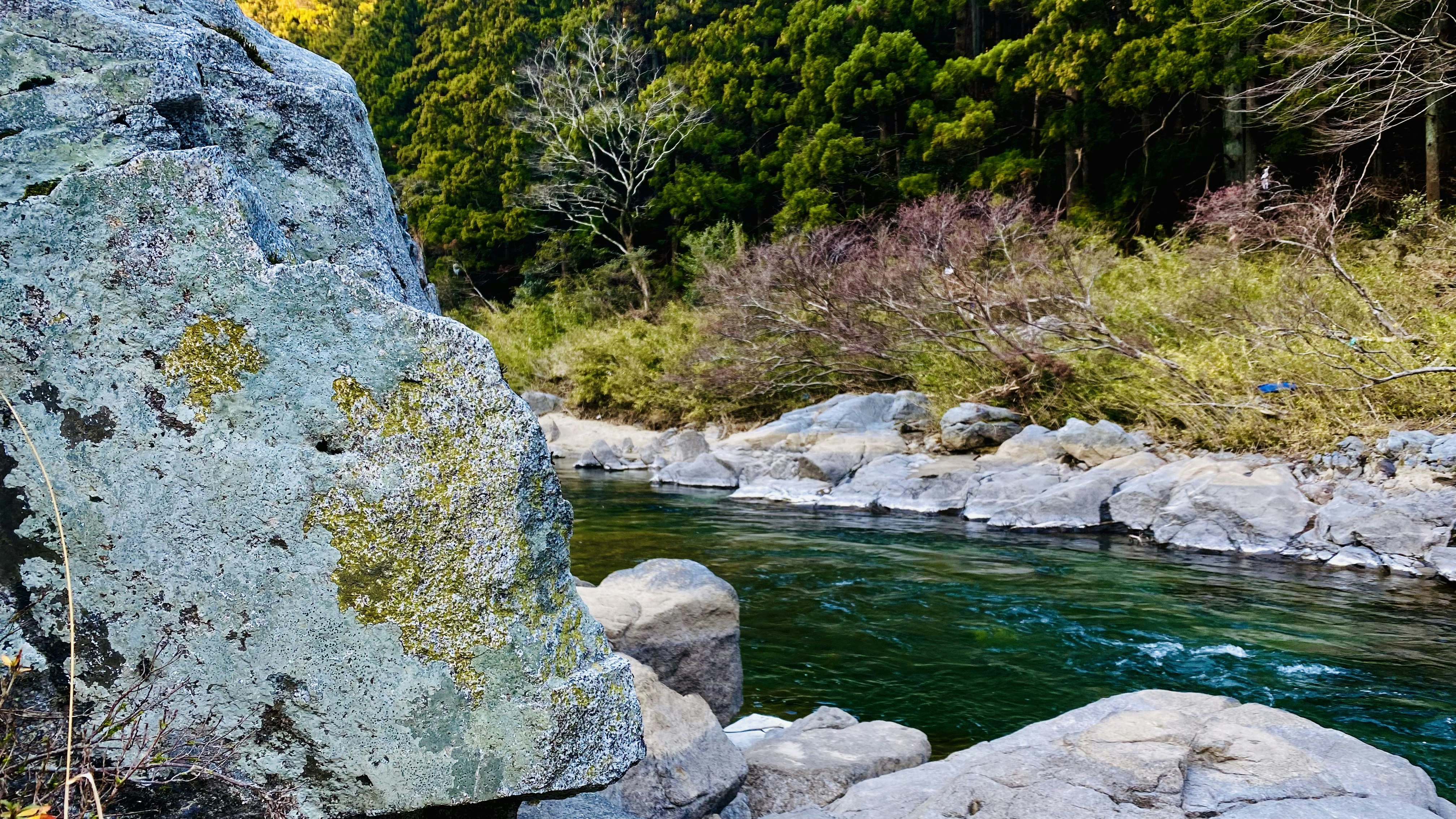 川沿いの岩と緑の森が広がる渓谷の風景