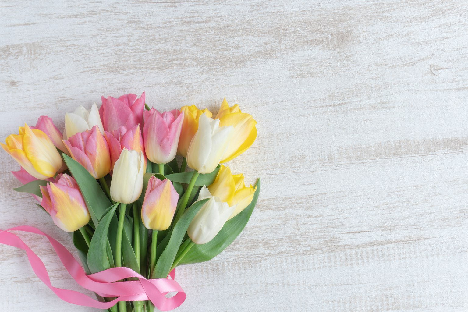 Một bó hoa tulip nhiều màu sắc buộc bằng ruy băng hồng