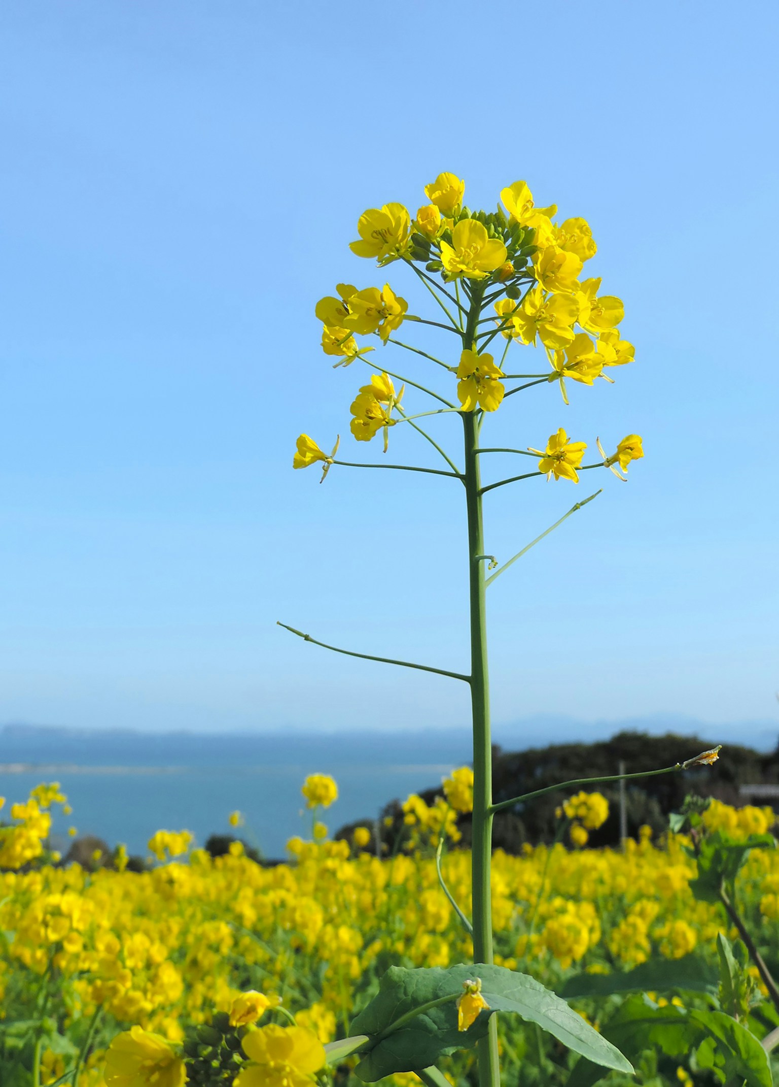 photo-753PPN211aCZlEtjYrYw-image