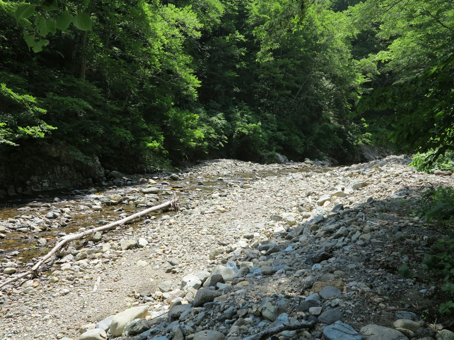 Flussbett mit Kies und Steinen umgeben von üppigem grünem Wald