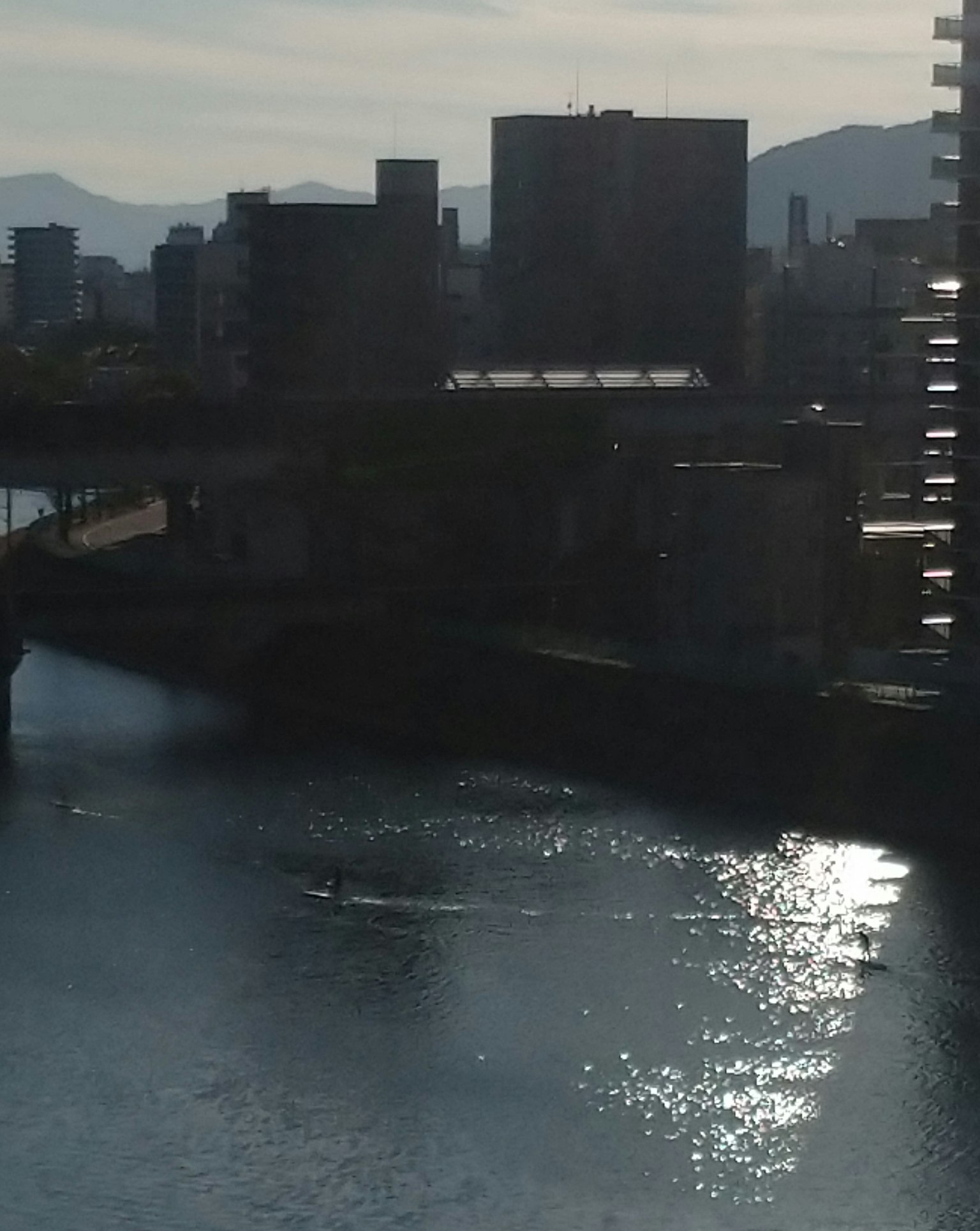 城市河流景觀與反射的光