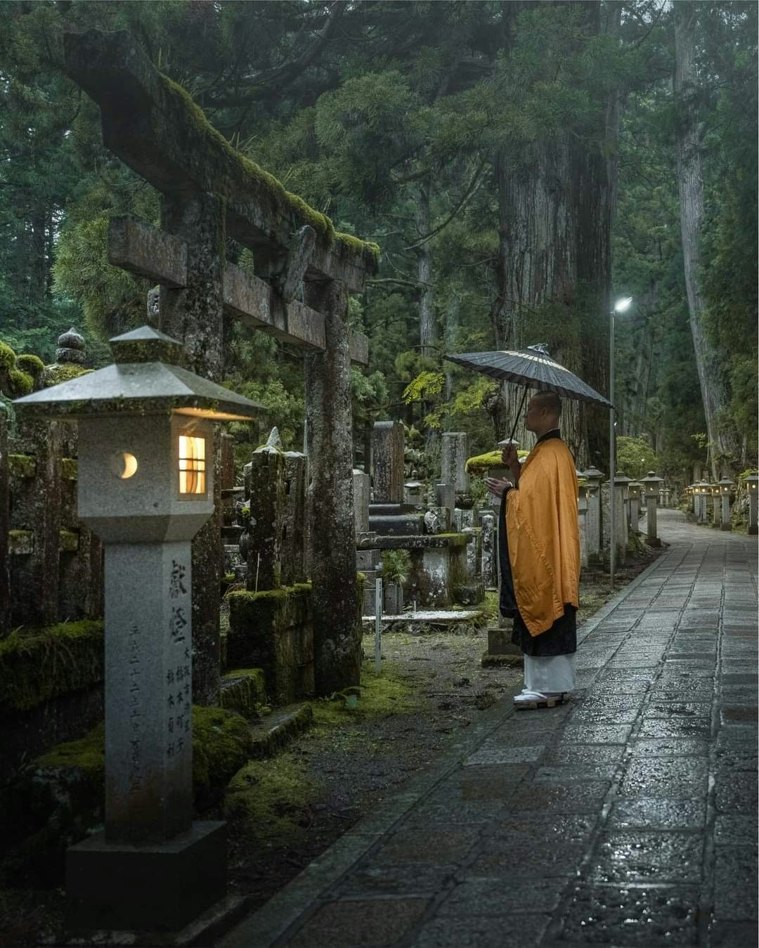 雨の参道で傘をさす僧