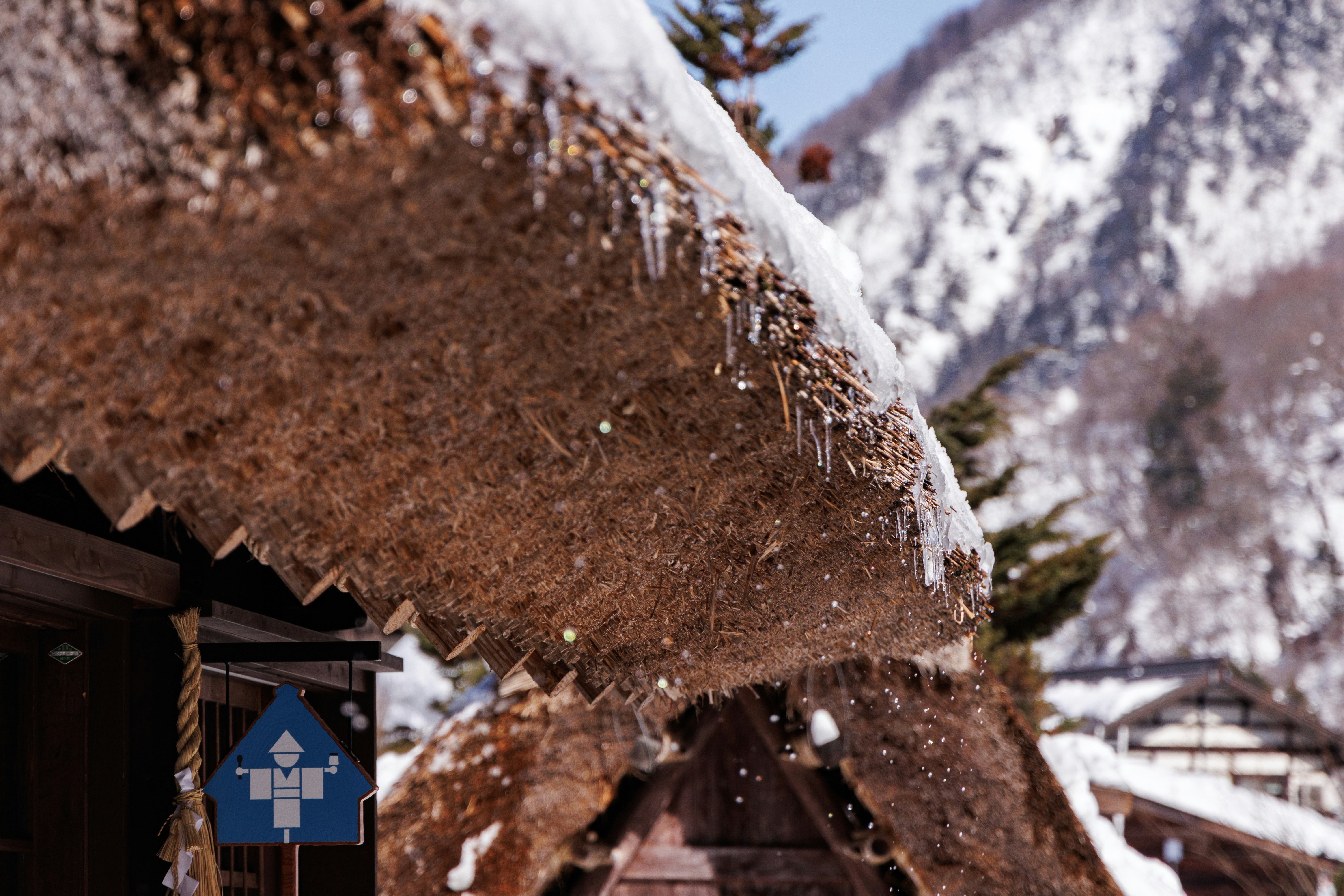 茅葺き屋根をつたう雪解け水の白川郷の風景